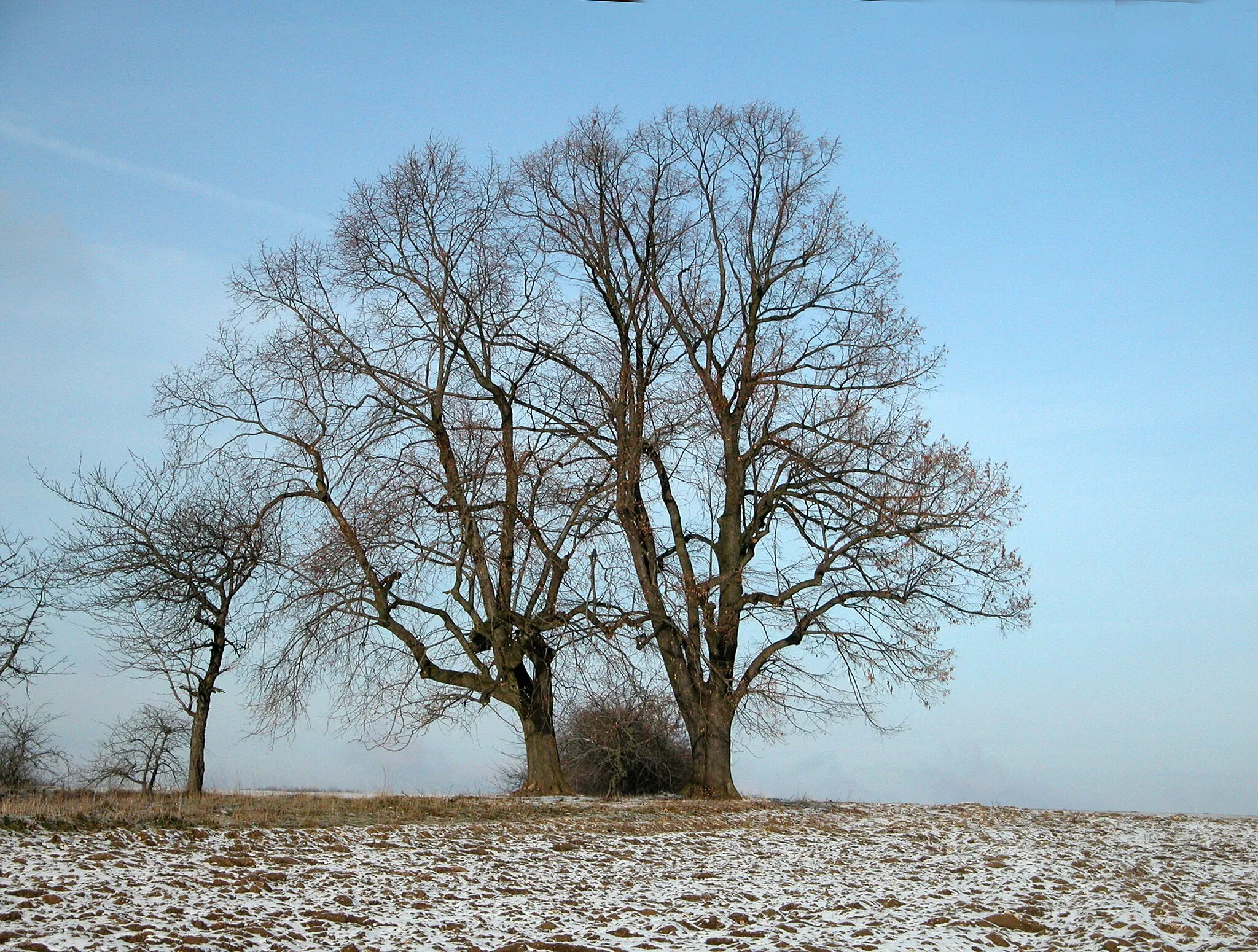 Photo showing: Wüstung Hausen 2004