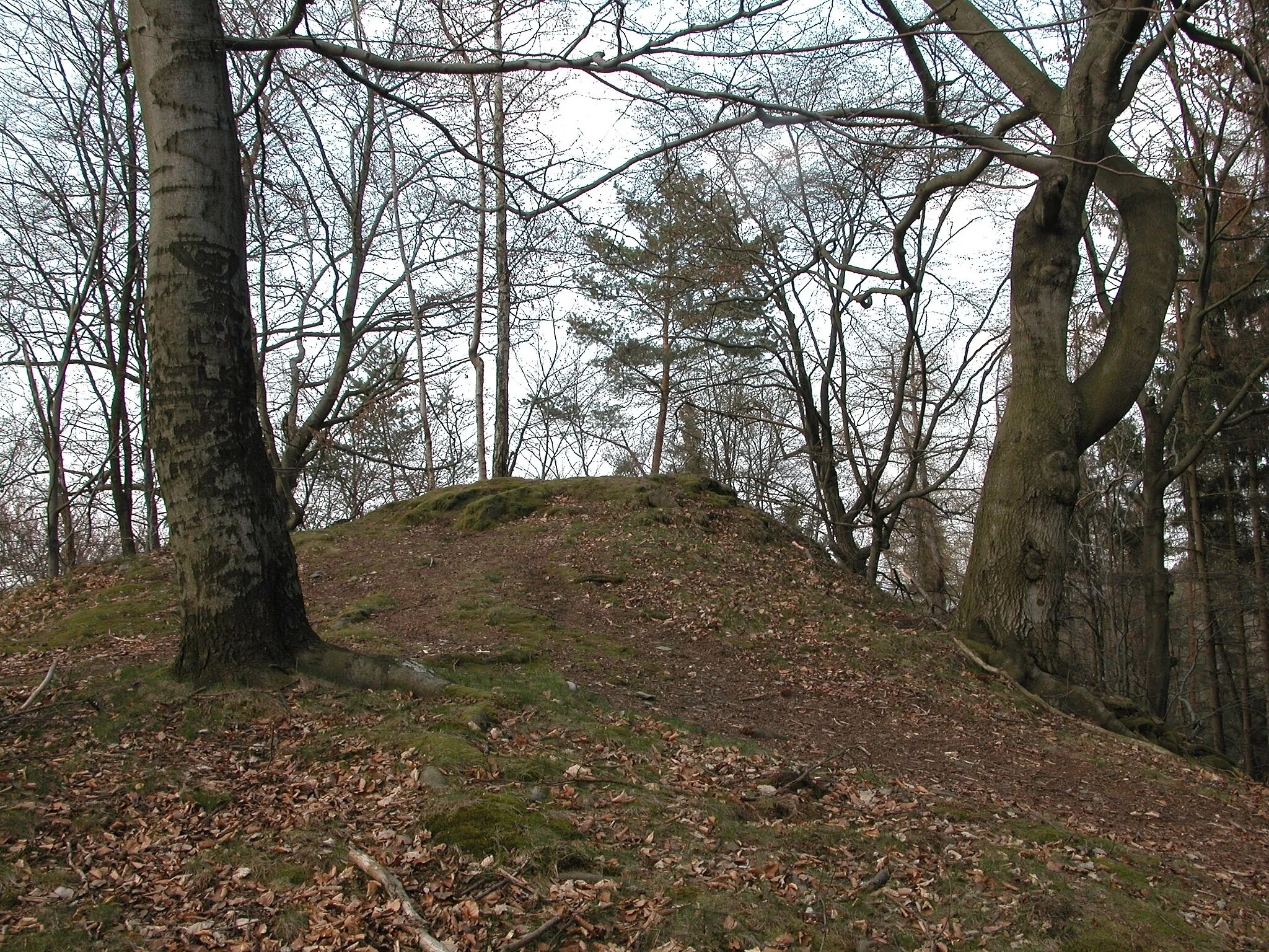 Photo showing: Hünenkuppe 2004