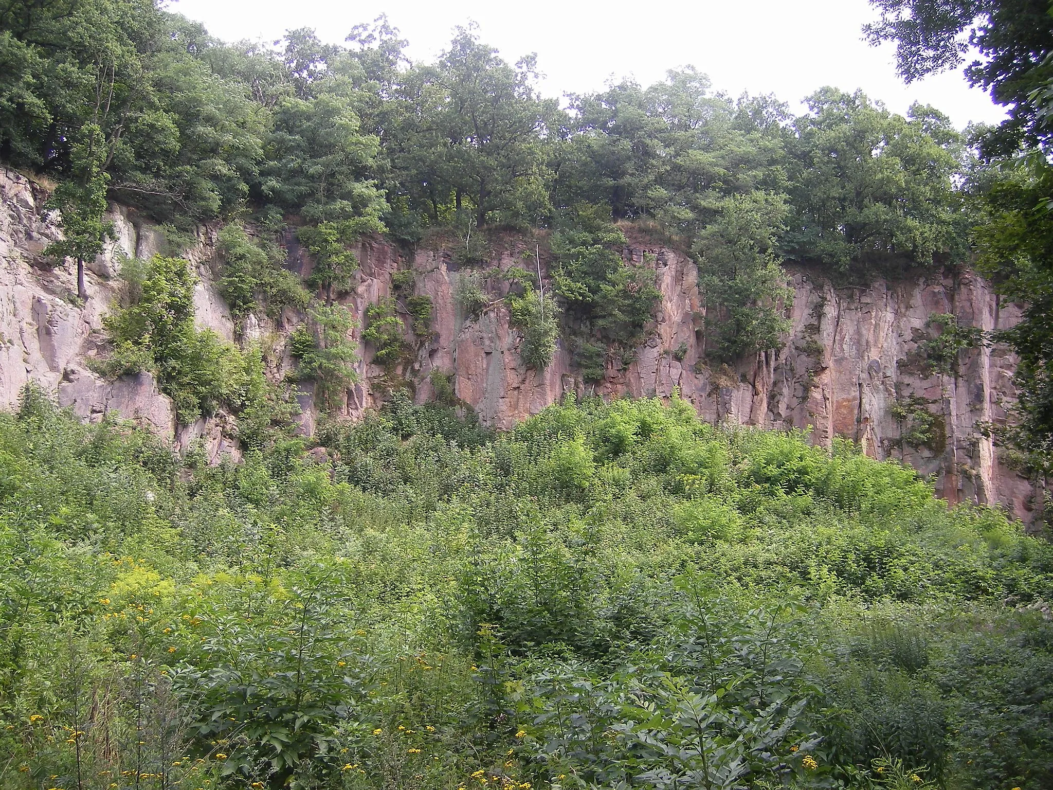 Photo showing: Das Flächennaturdenkmal Paditzer Schanzen in der Nähe von Altenburg in Ostthüringen.