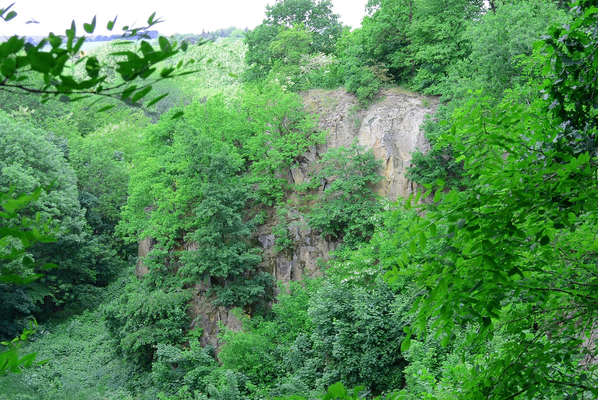 Photo showing: Flächennaturdenkmal Paditzer Schanzen