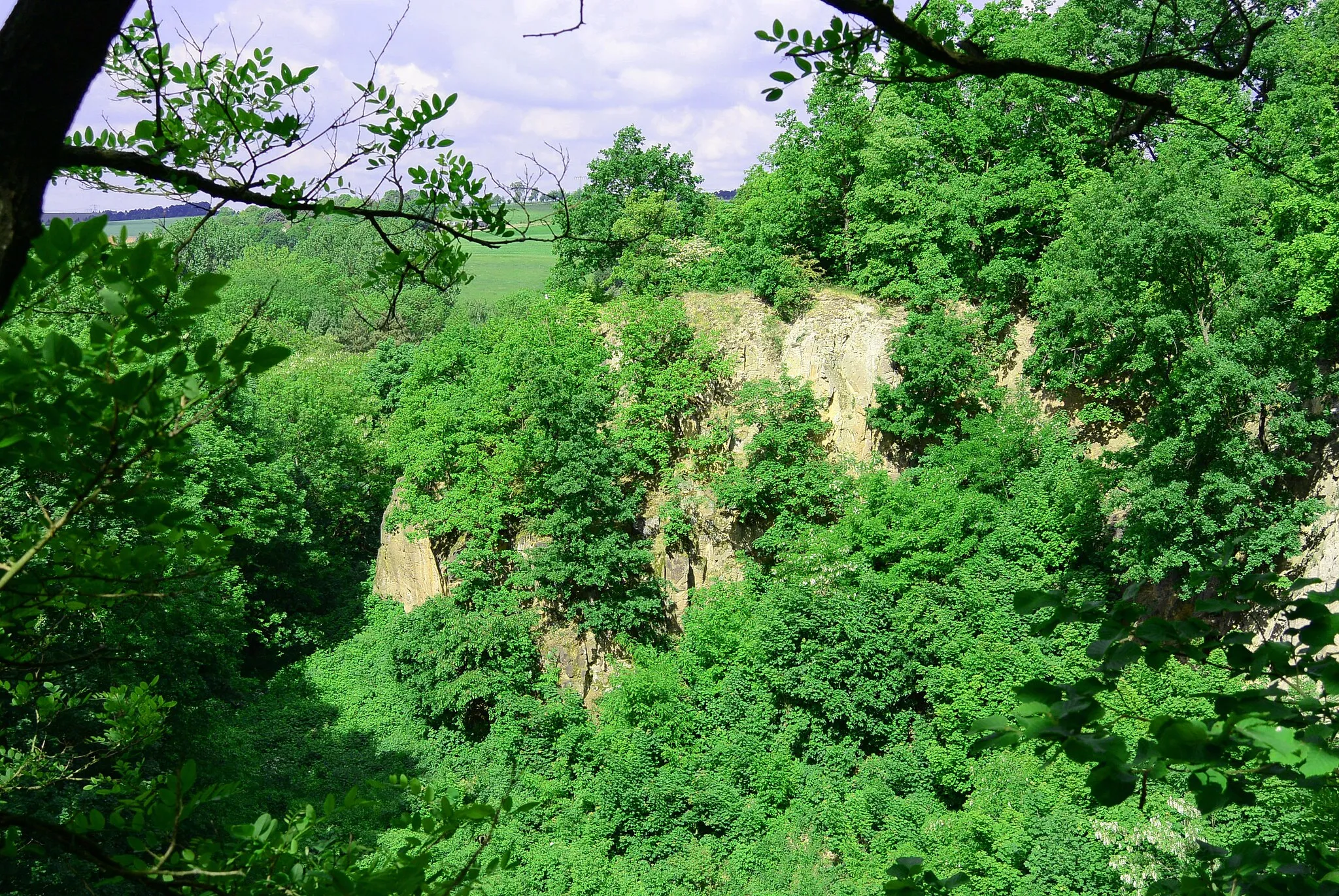 Photo showing: Flächennaturdenkmal Paditzer Schanzen