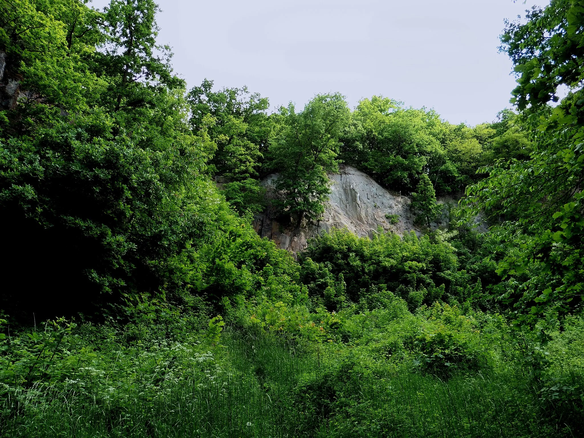 Photo showing: Flächennaturdenkmal Paditzer Schanzen