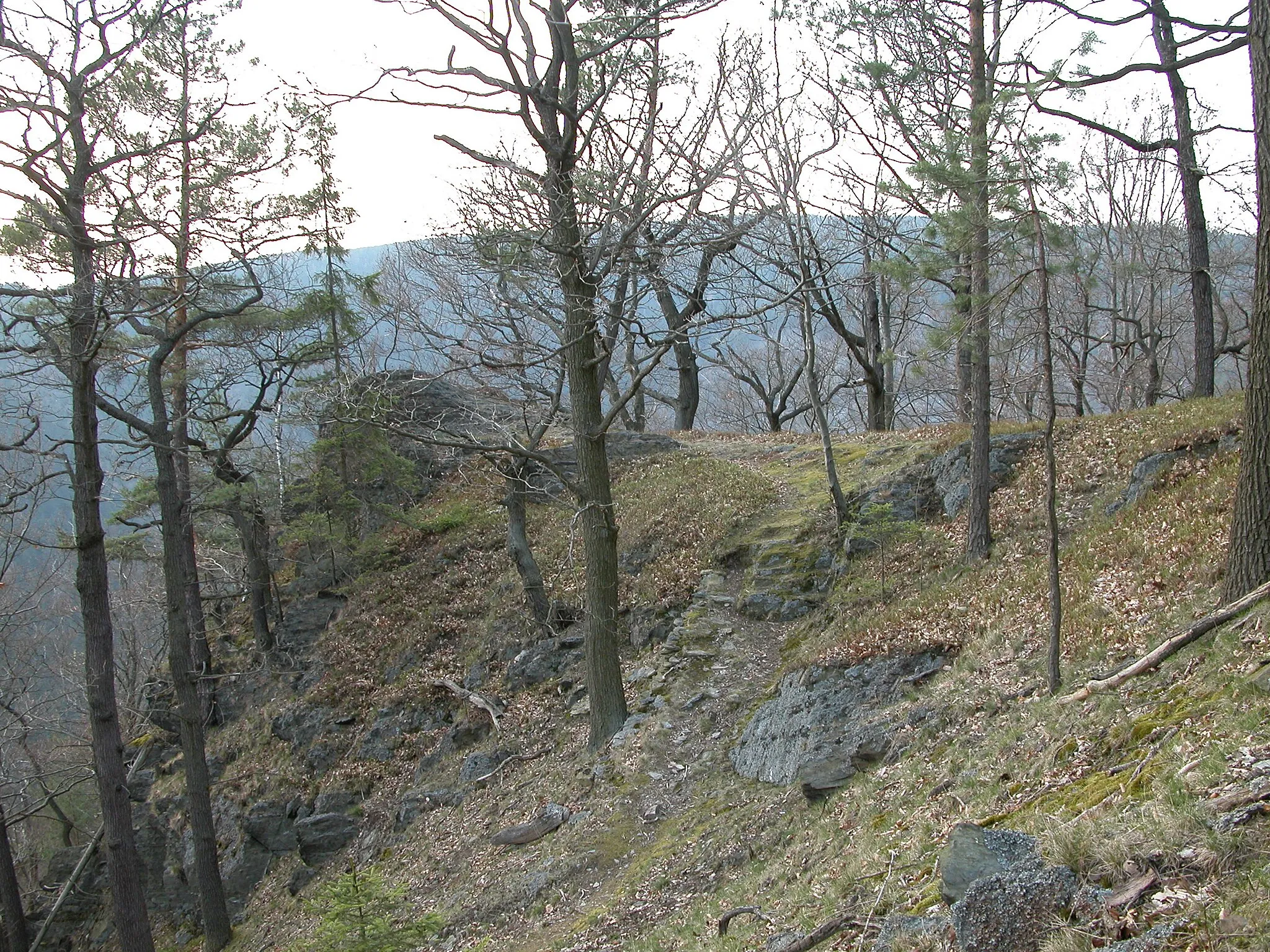 Photo showing: Hünenkuppe 2004