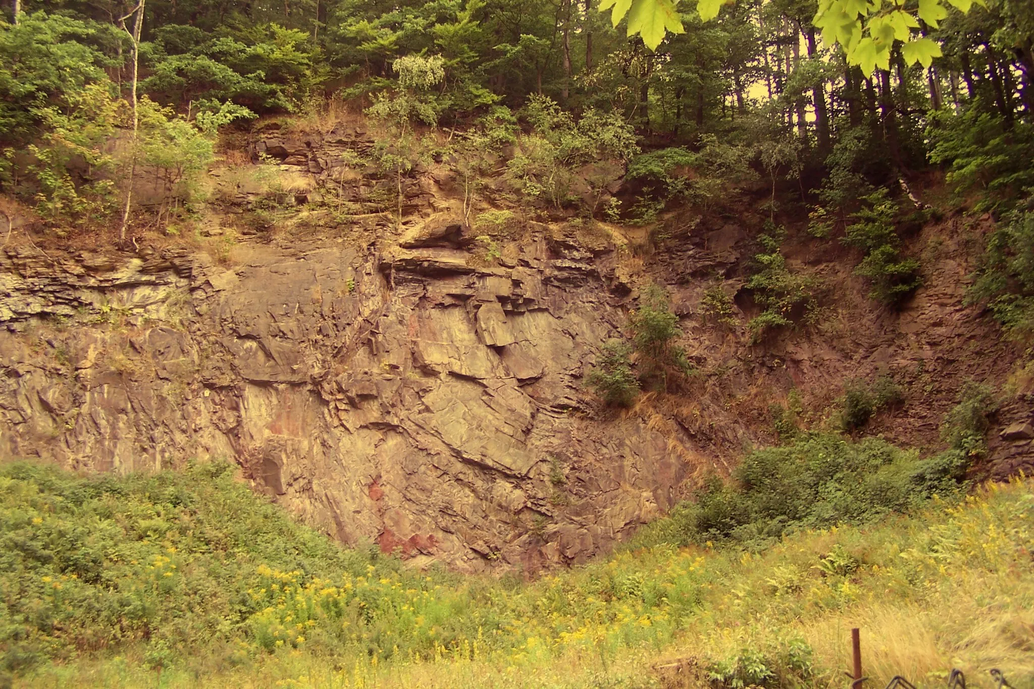 Photo showing: Abandoned quarry at the former train station of Ruhla, Thuringian Forest. Outcrop of amphibolite and mica schist of the Ruhla Group of the Ruhla Crystalline Complex - natural monument since 1977.