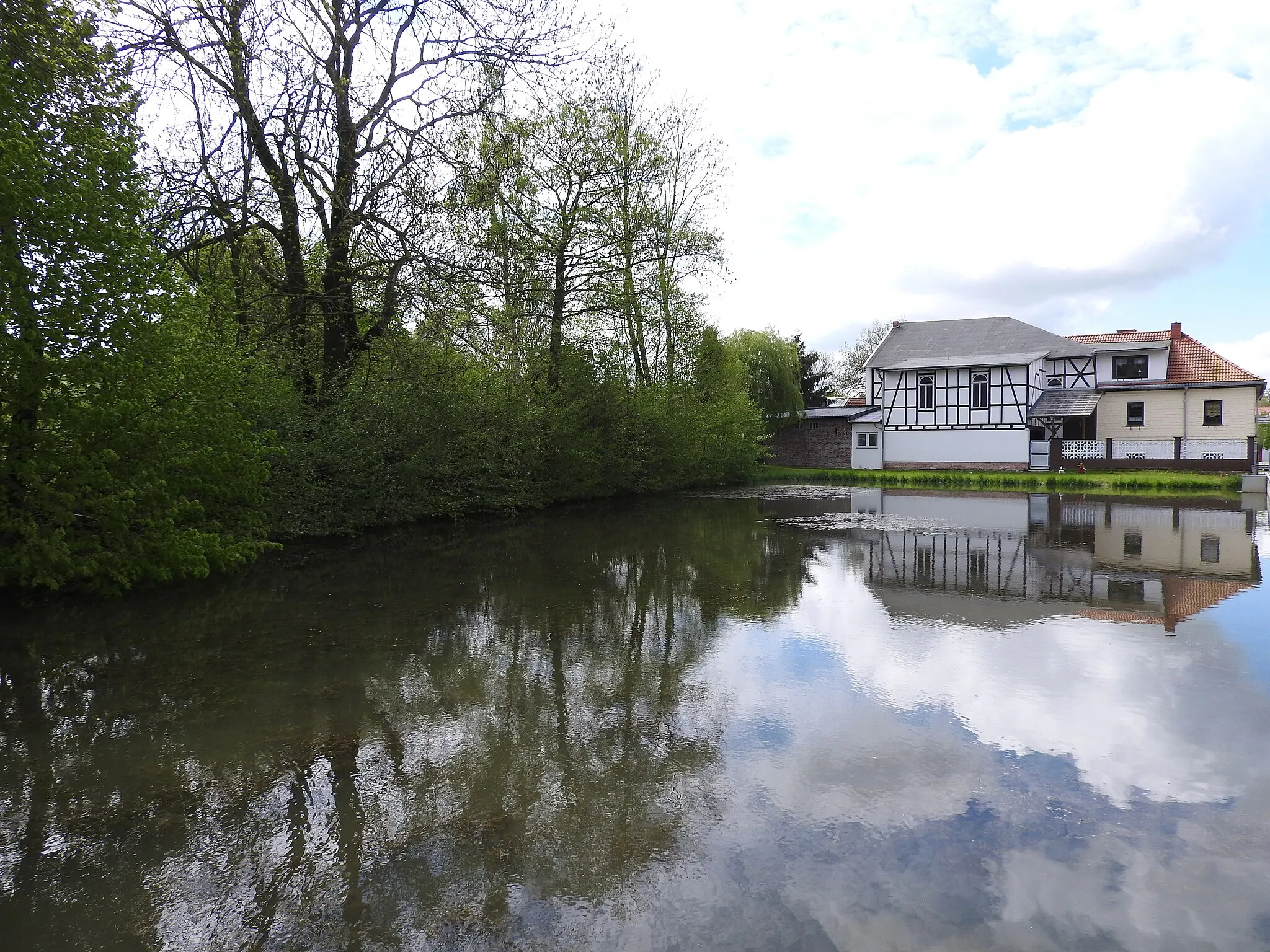 Photo showing: Teich in Börthen, Thüringen