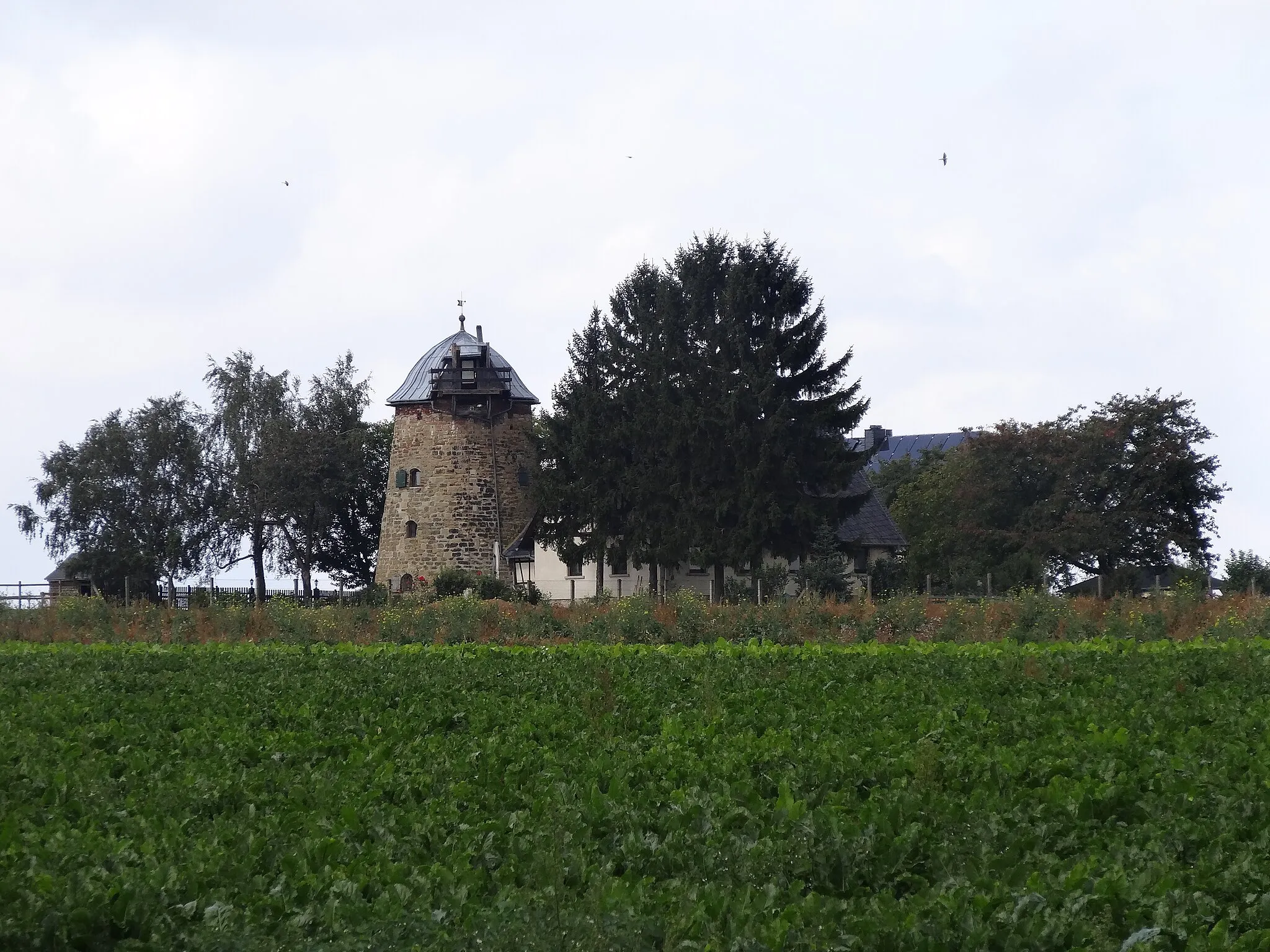 Photo showing: Windmill in Hopfgarten, Thuringia, Germany