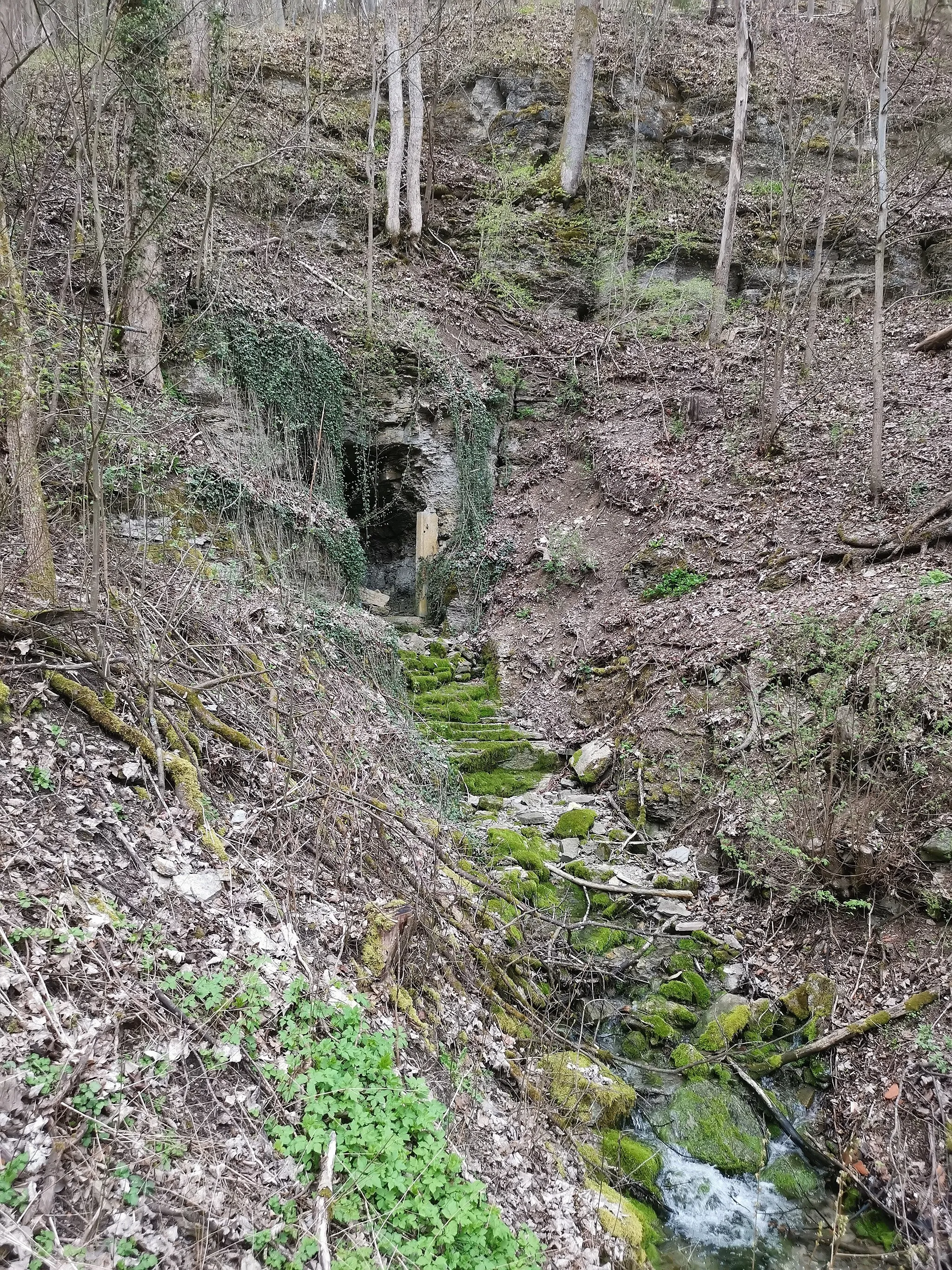 Photo showing: Quellen und Höhle am Brunnenbach (Meiningen)