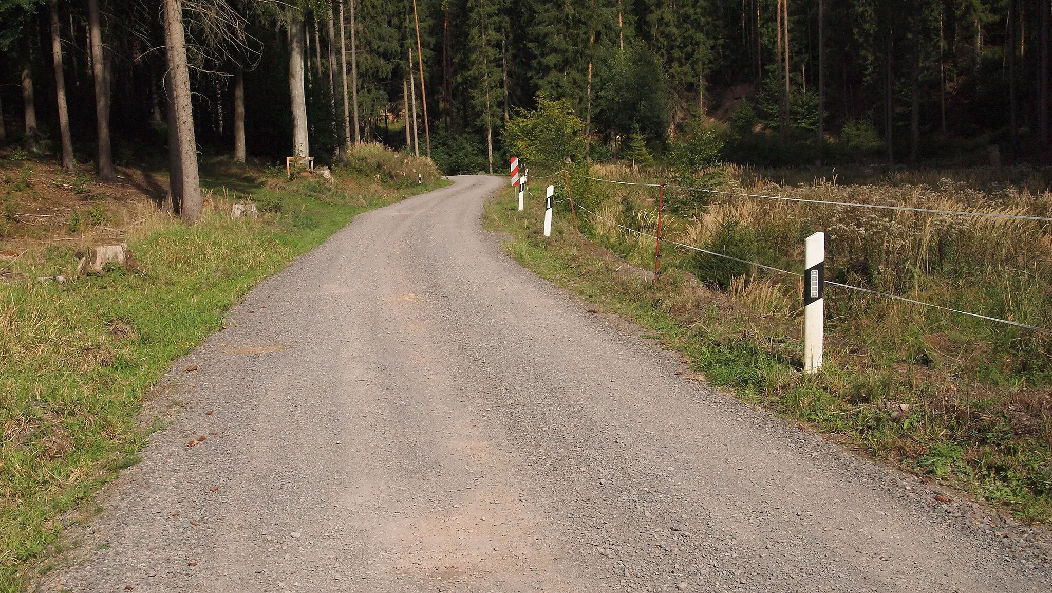 Photo showing: Forststraße bei Friedebach (ehemalige L 1107, zur Forststraße umgewidmet und Butumendecke entfernt), zwischen Wüstenhofsmühle und Scheitelpunkt Hangeiche,  15. September 2019