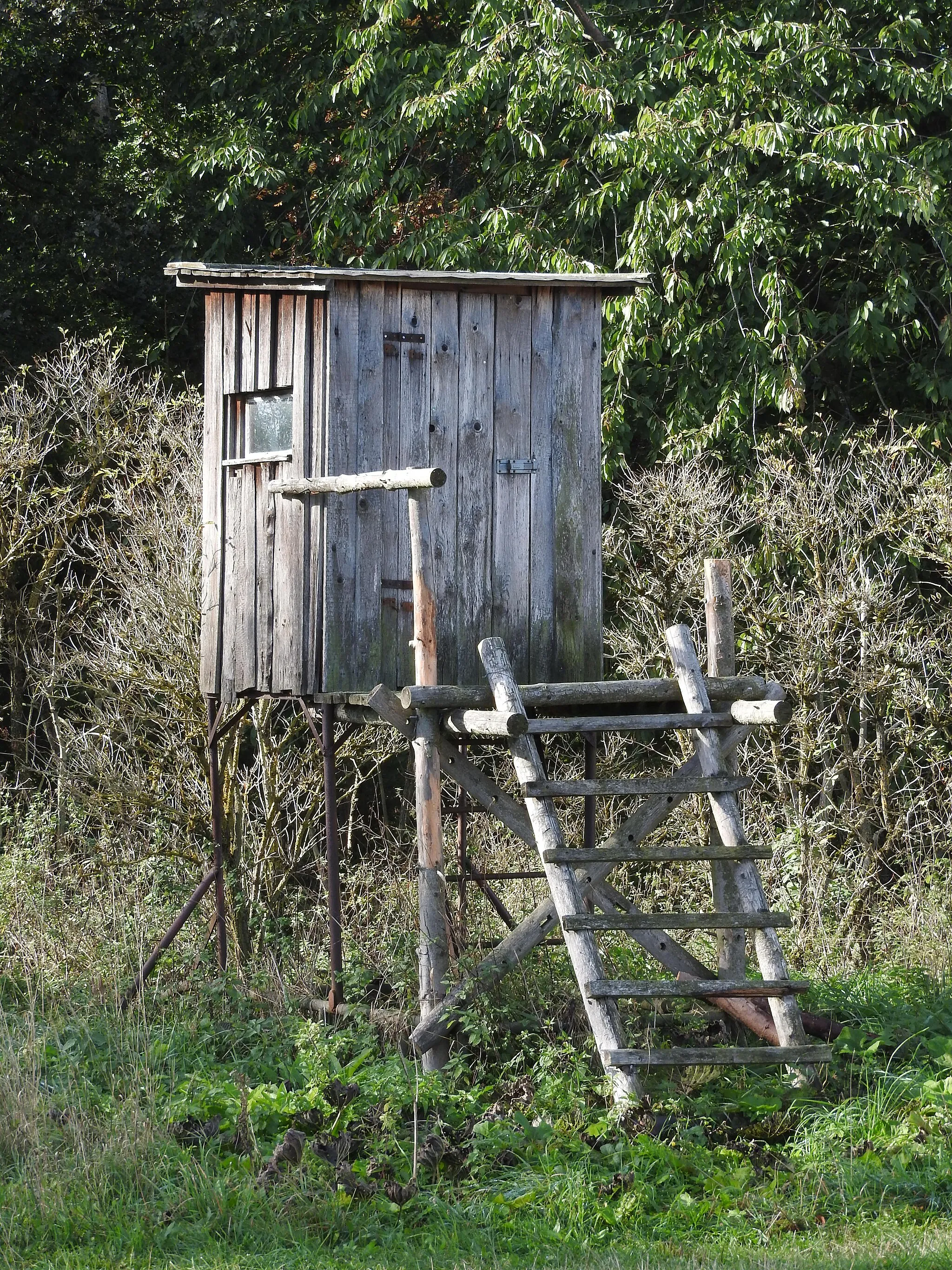 Photo showing: Hochsitz bei Hasla, Thüringen