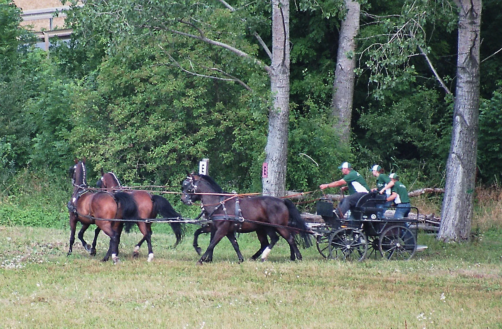 Photo showing: Buttstädt, equestrian games