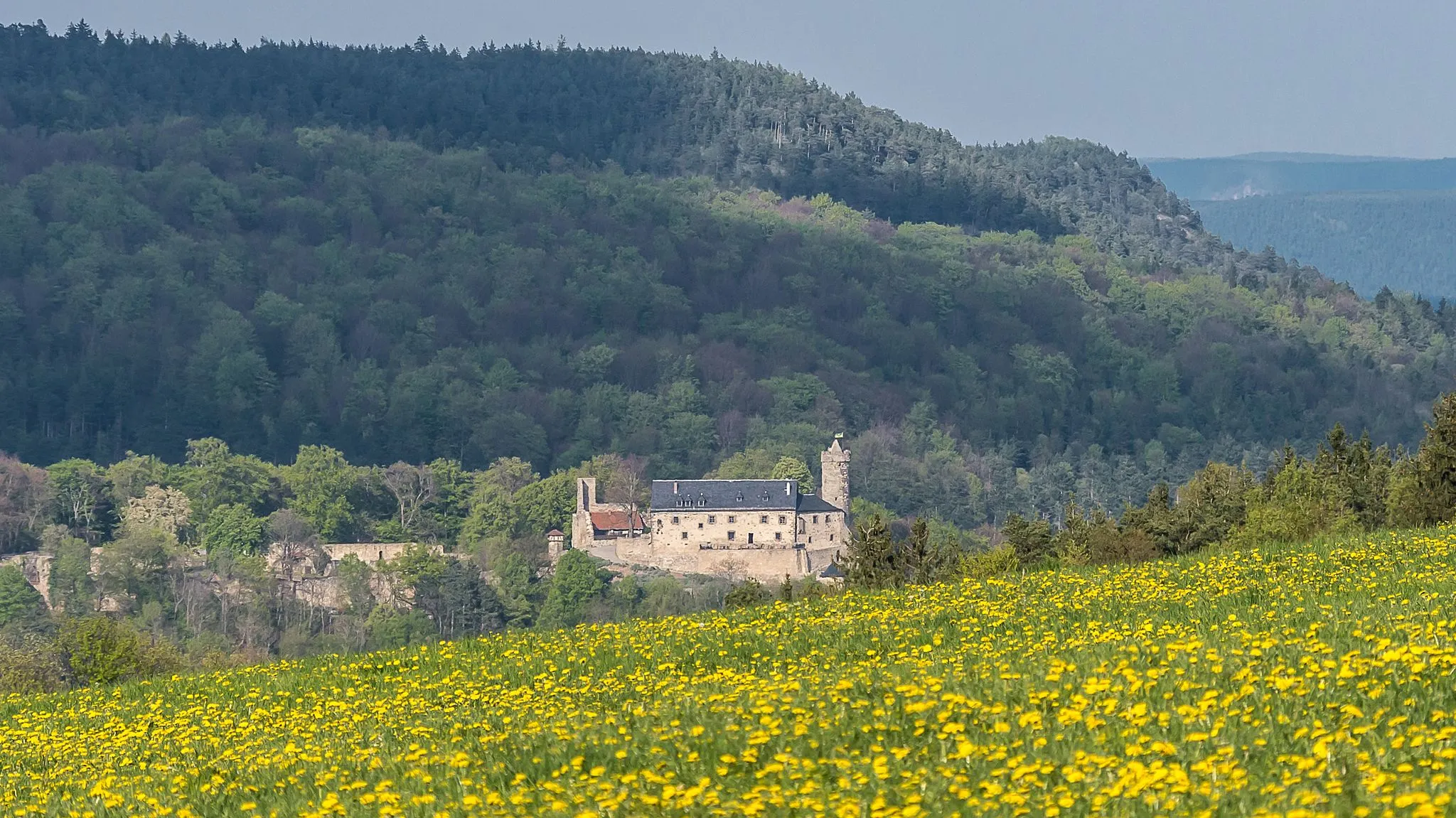 Photo showing: Naturschutzgebiet „Greifenstein“ (NSG Nr. 158) in Thüringen mit Burg Greifenstein, Bad Blankenburg; die Lage der Burg aus südwestlicher Richtung gesehen