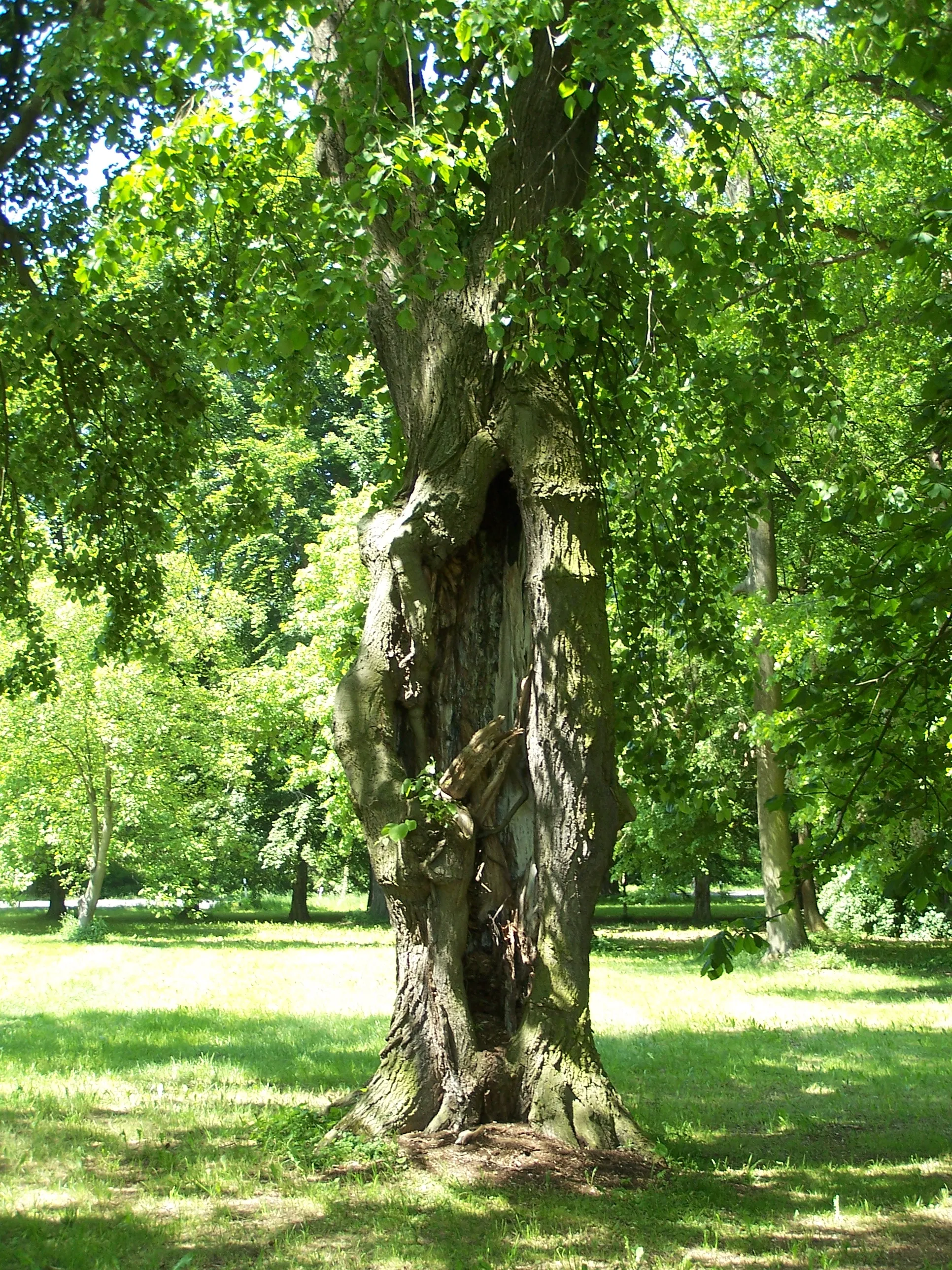 Photo showing: Impressionen vom Landschaftspark Dürrerhof.