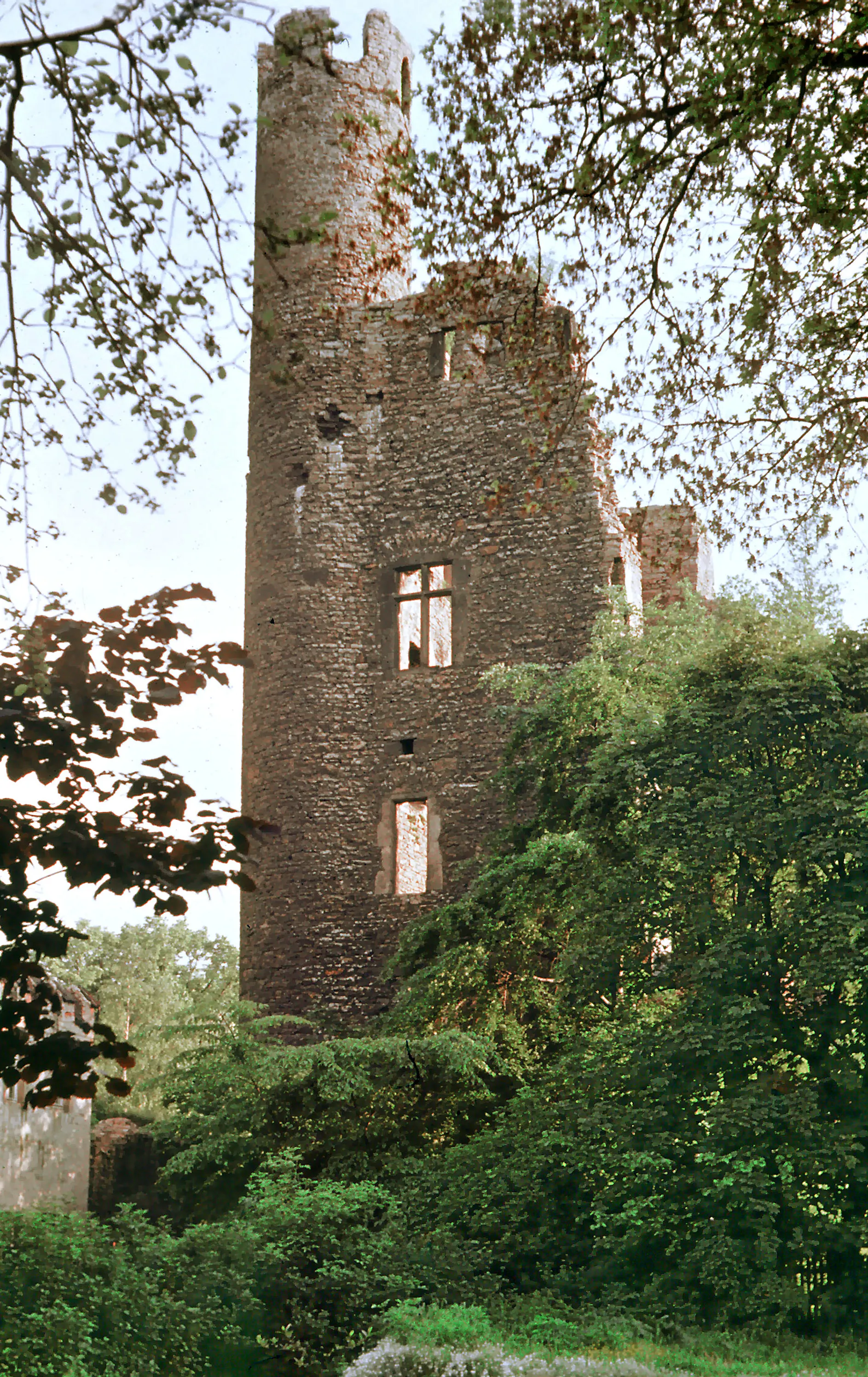 Photo showing: 29.05.1975  DDR 6800  [01718]  Saalfeld, Am Hohen Schwarm: Blick über die Saale zur Burgruine "Hoher Schwarm" (GMP: 50.647345,11.366477). Entstehungszeit um 1300,  durch die Grafen von Schwarzburg auf dem Boden und den Mauern einer älteren Wehranlage errichtet. Reste eines viertürmigen Kastells nach dem Vorbild der Schweizer Burg Thun.  Viergeschossiger Wohnturm (Anf. 14. Jh.) mit zwei runden, das Gebäude überragenden Ecktürmen auf dem Grundriß eines unregelmäßigen Vierecks. Im 16. Jahrhundert verfiel die Burg zusehends 1551 begann der teilweise Abriss zur Gewinnung von Baumaterial. Zwischen 1995 und 1997 wurde die Ruine gesichert und saniert.                                                         [U19750522K10D26.TIF]19750529008UR.JPG(c)Blobelt