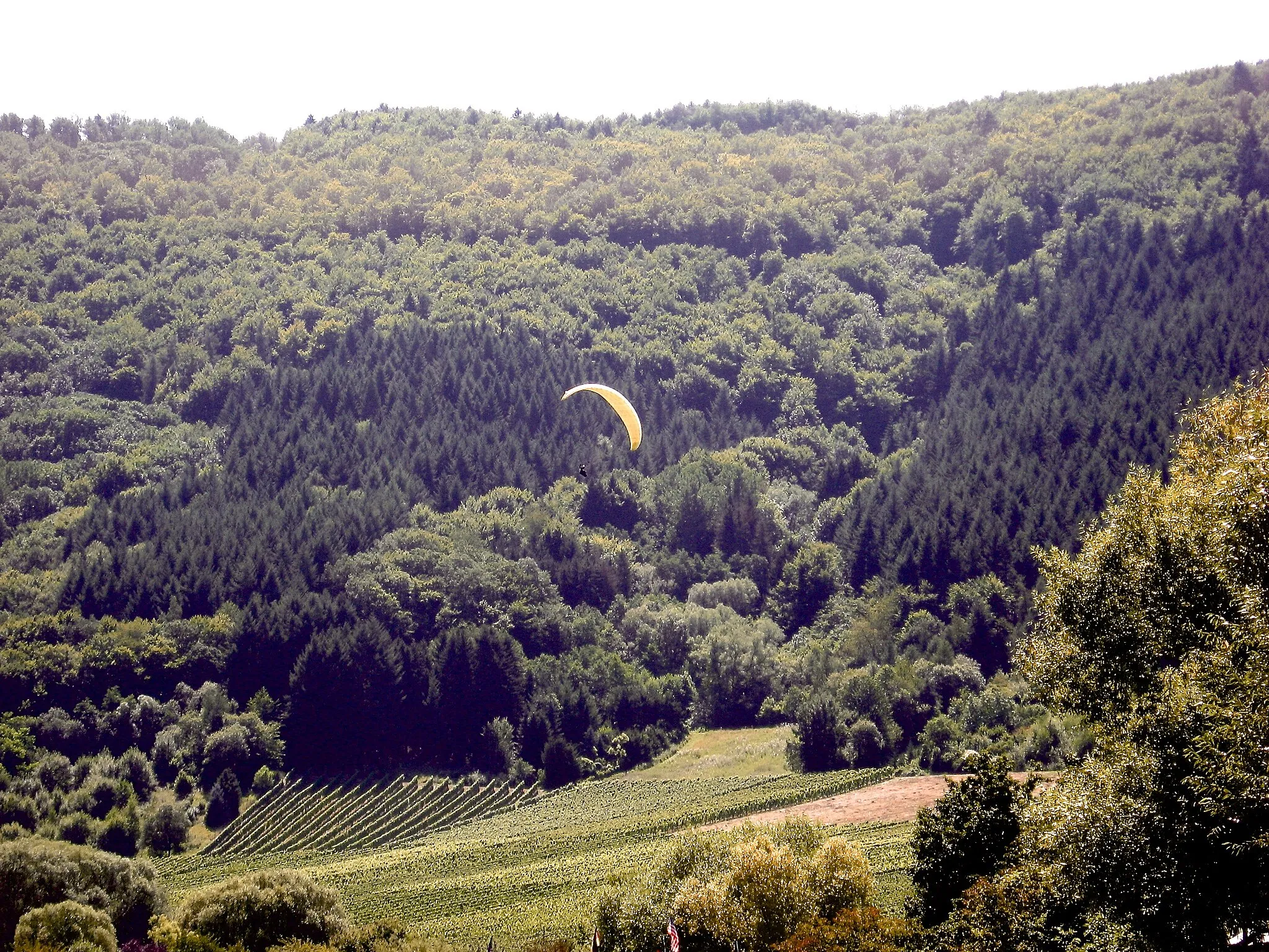 Photo showing: Paragleiter