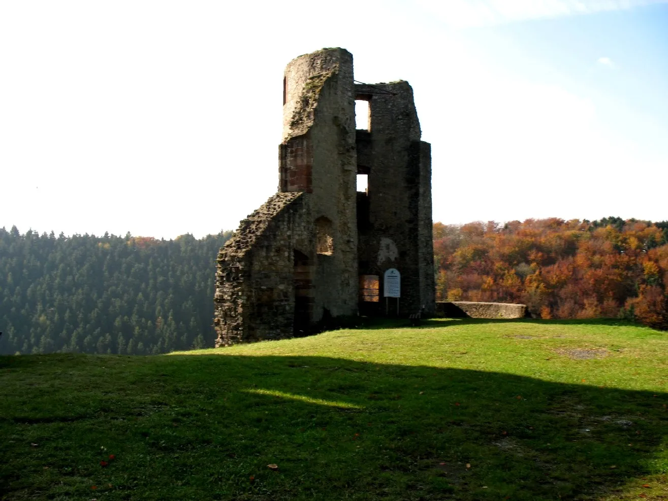 Photo showing: Burg Schonecken Ruins