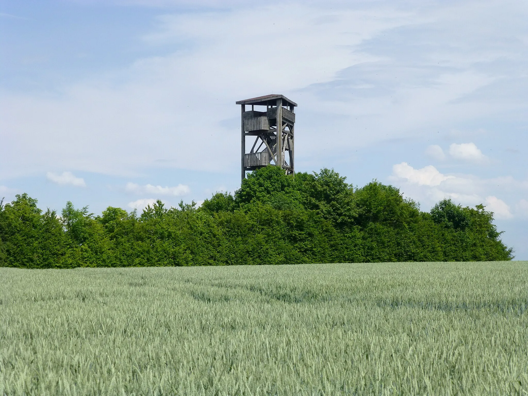 Photo showing: Aussichtsturm Zemmer beim Ortsteil Rodt