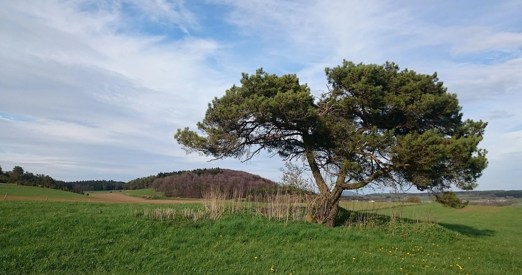 Photo showing: Eifellandschaft bei Feusdorf