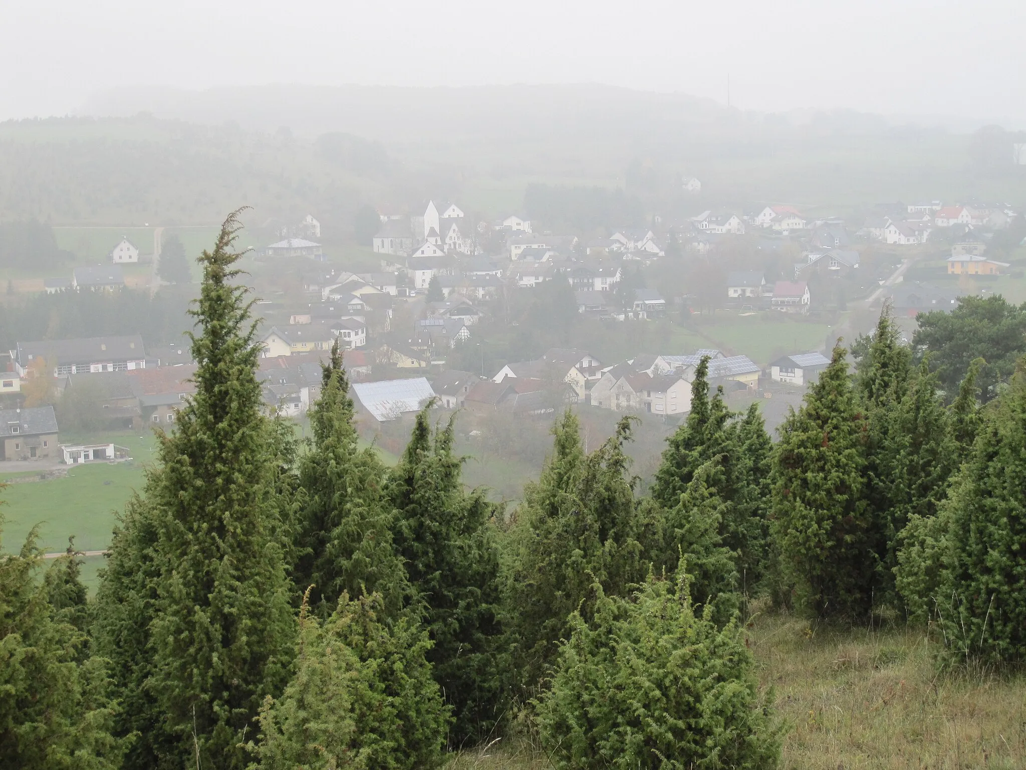 Photo showing: Alendorf bei leichtem November-Nebel