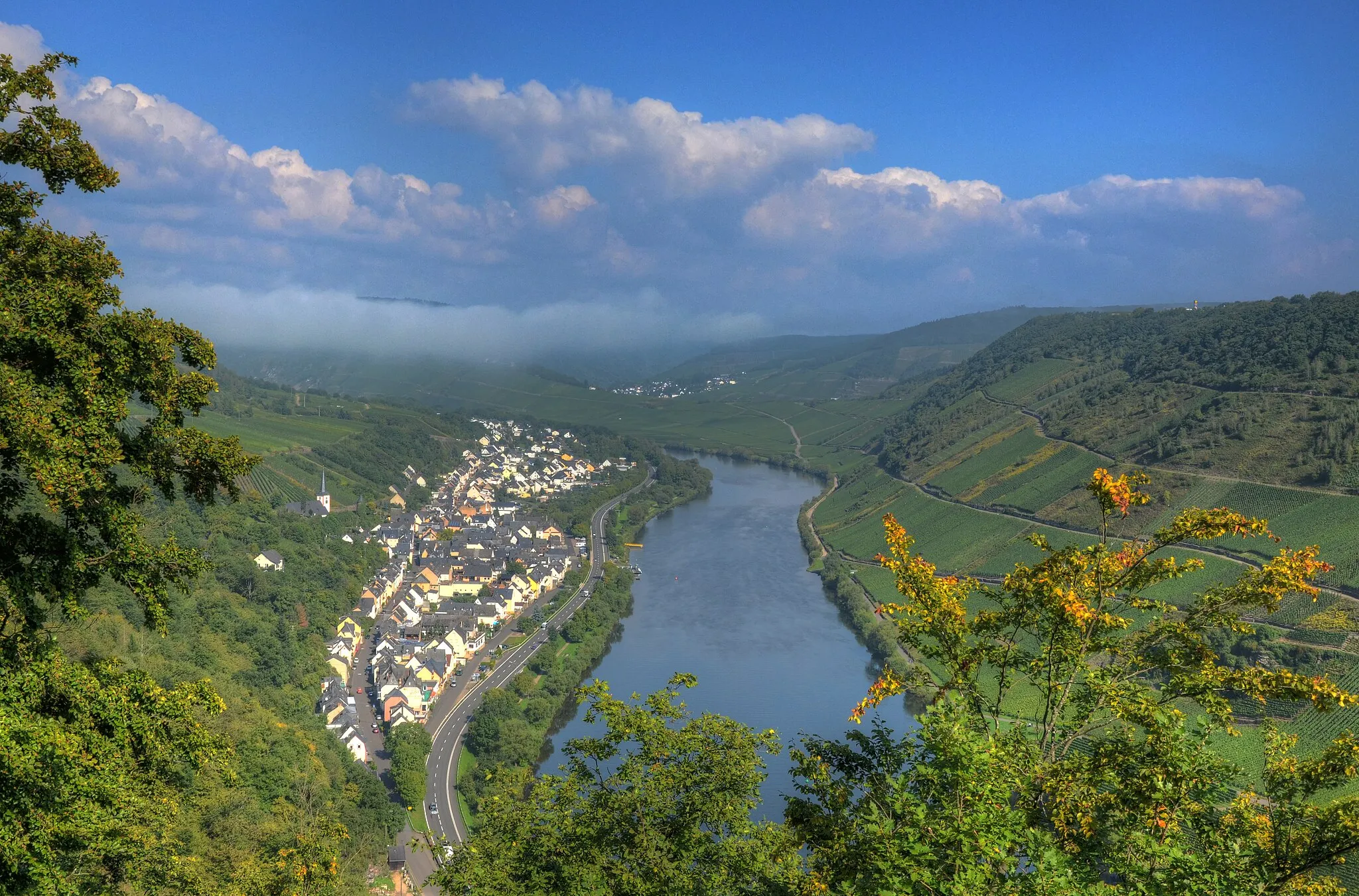 Photo showing: Briedel an der Mosel