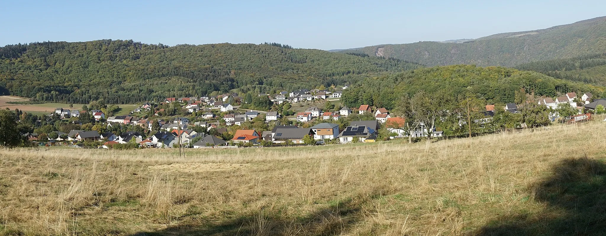 Photo showing: Blick auf die Ortslage, insbesondere auf den Ortsteil Rodt.