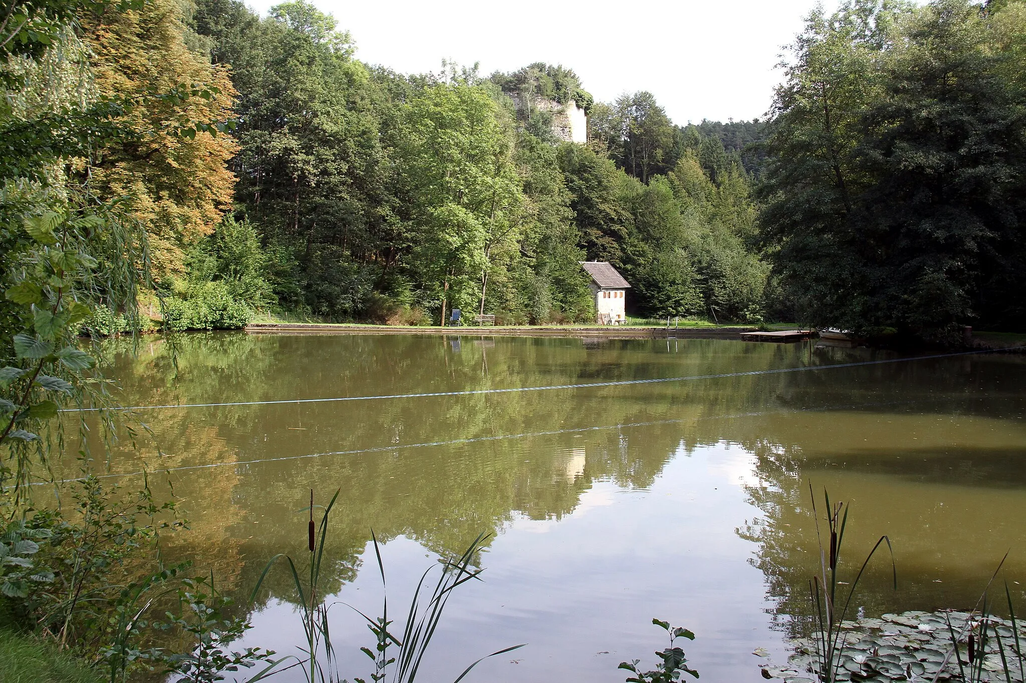 Photo showing: Municipality Hollenthon in Lower Austria. – The photo shows the castle pond in Stickelberg.