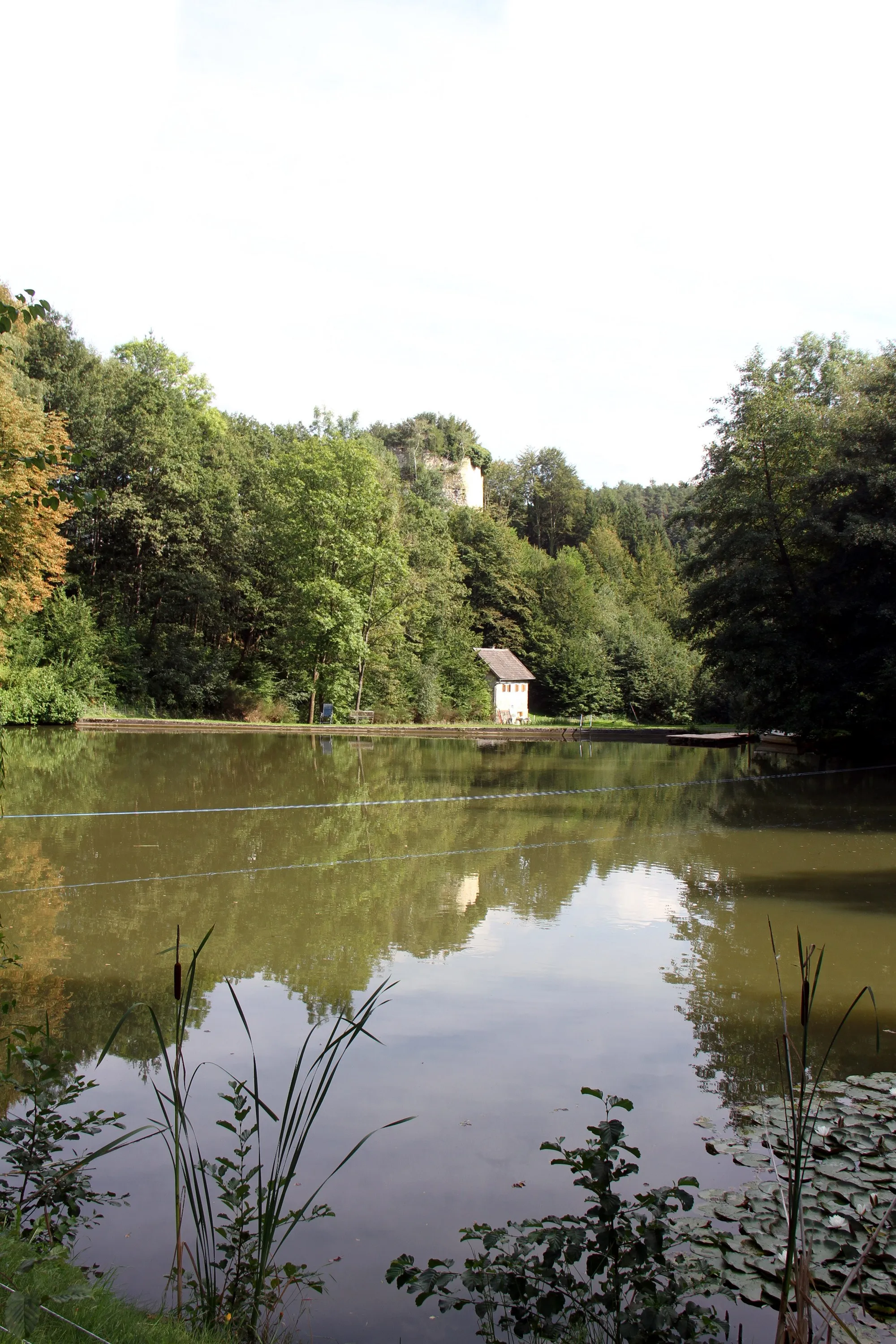 Photo showing: Municipality Hollenthon in Lower Austria. – The photo shows the castle pond in Stickelberg.
