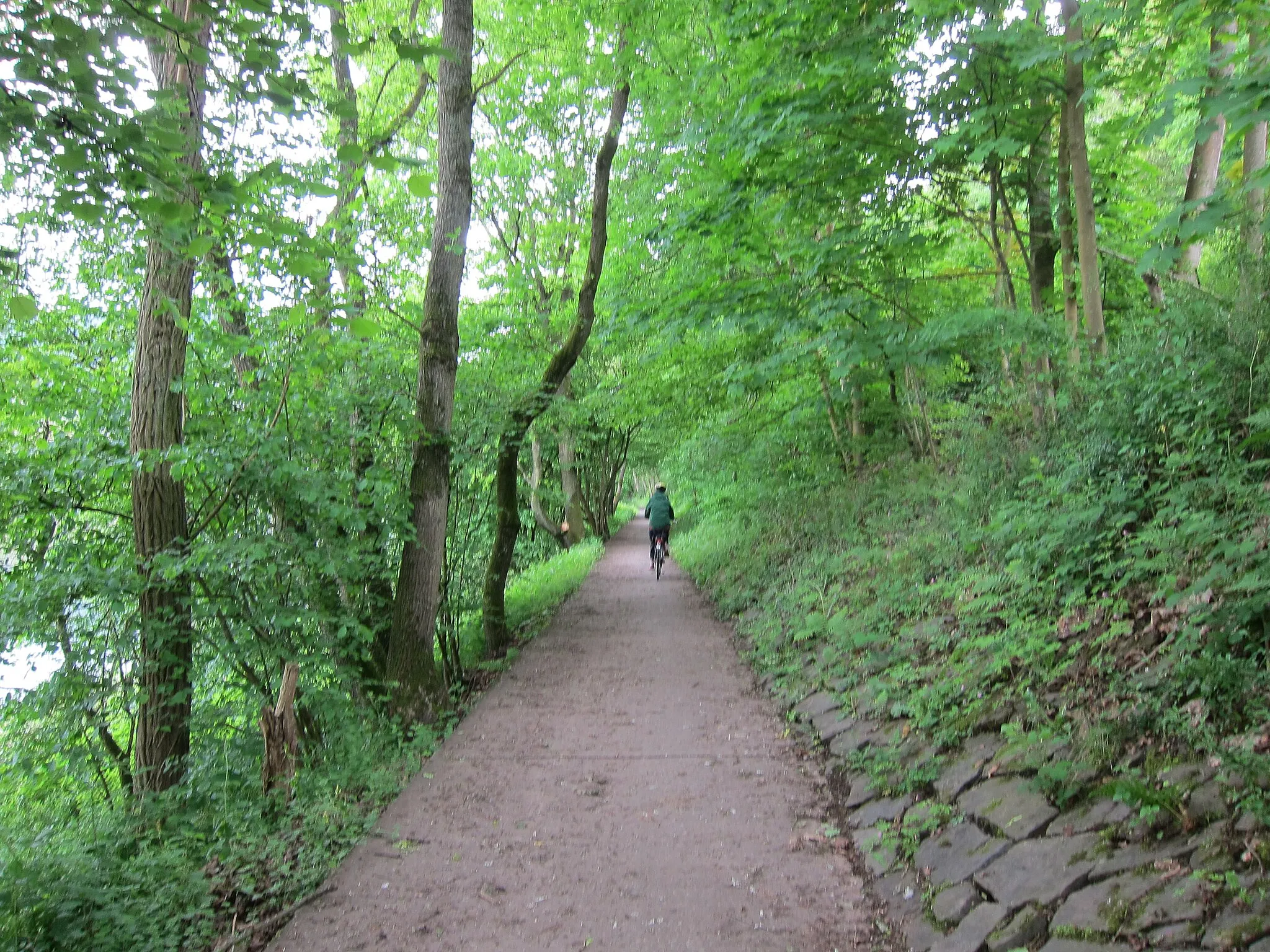 Photo showing: Mosel valley