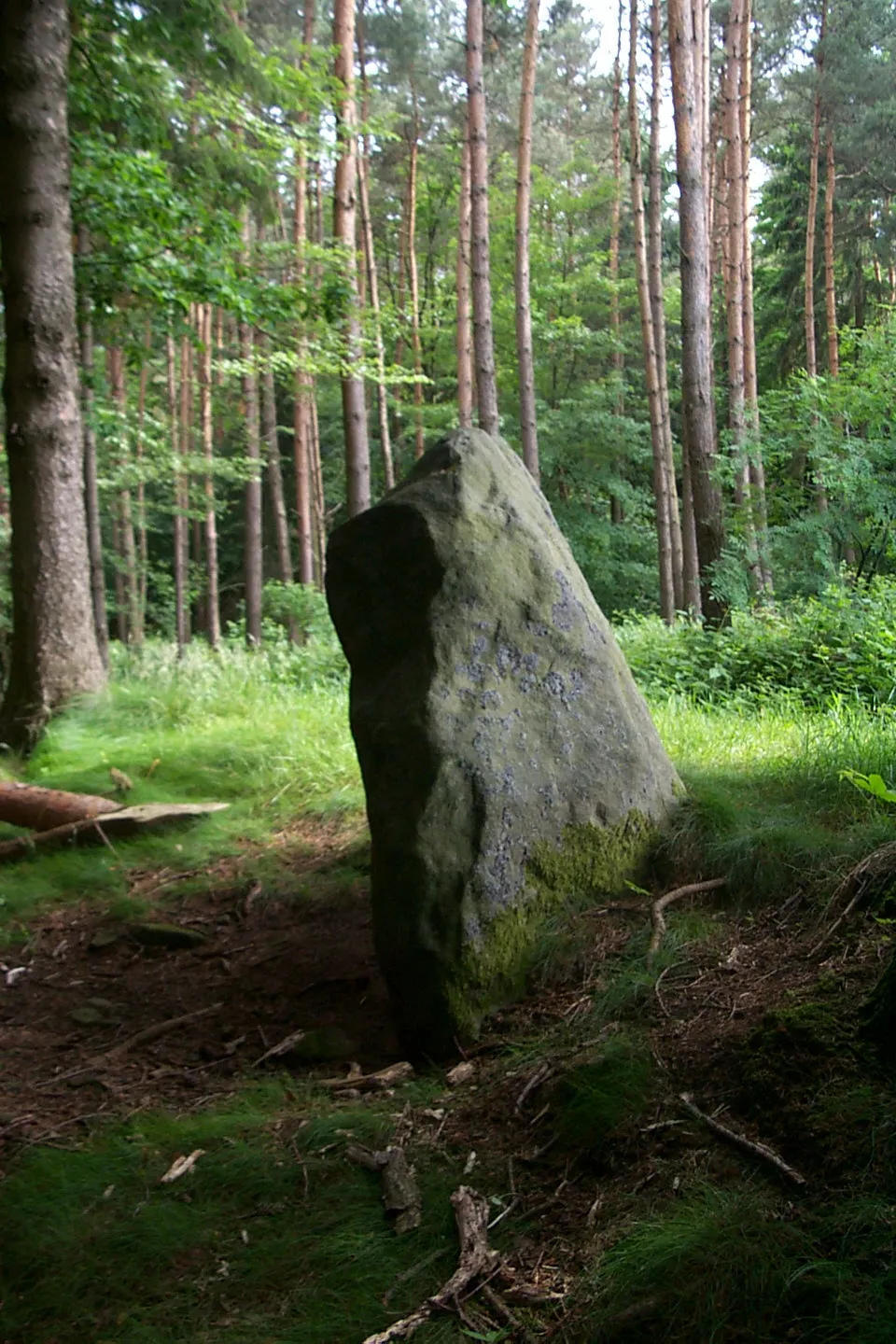 Photo showing: Der Menhir Langenstein auf dem Ferschweiler Plateau auf dem Gemeindegebiet von Holsthum.