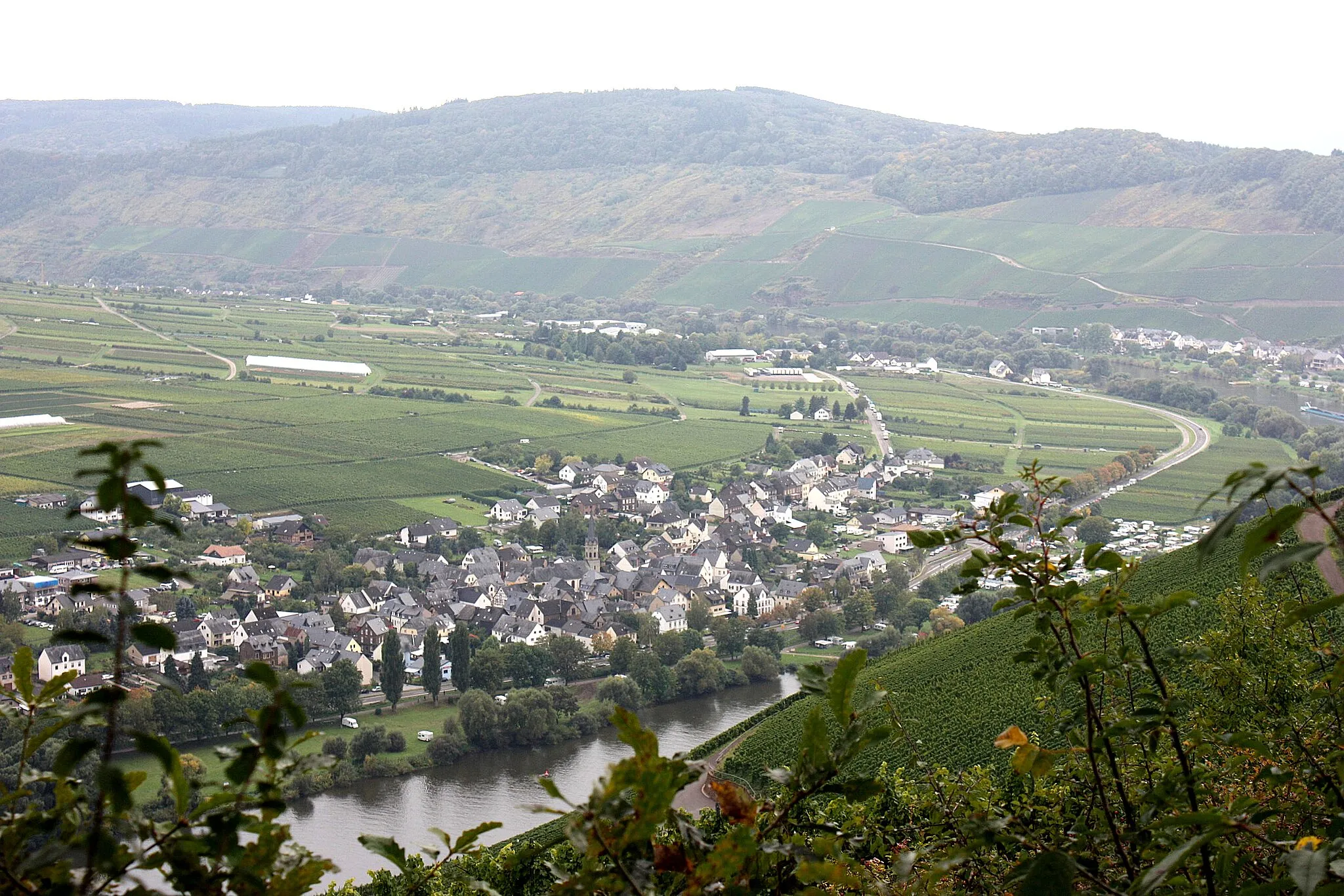 Photo showing: Ürzig, viewpoint, view to the village Erden