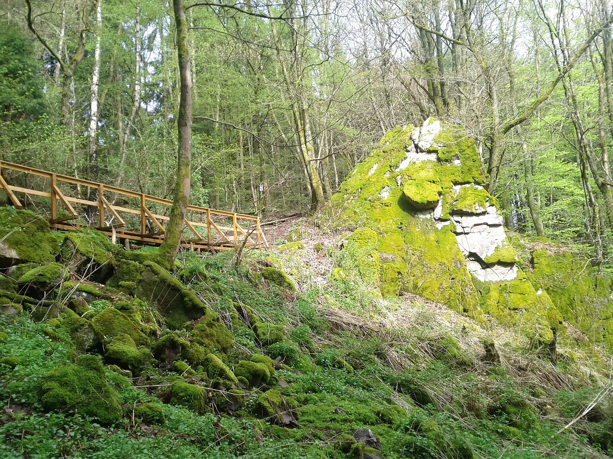 Photo showing: Photo of the "Schlangenfelsen", snake rock in english, in Germany, Saarland, near Scheiden