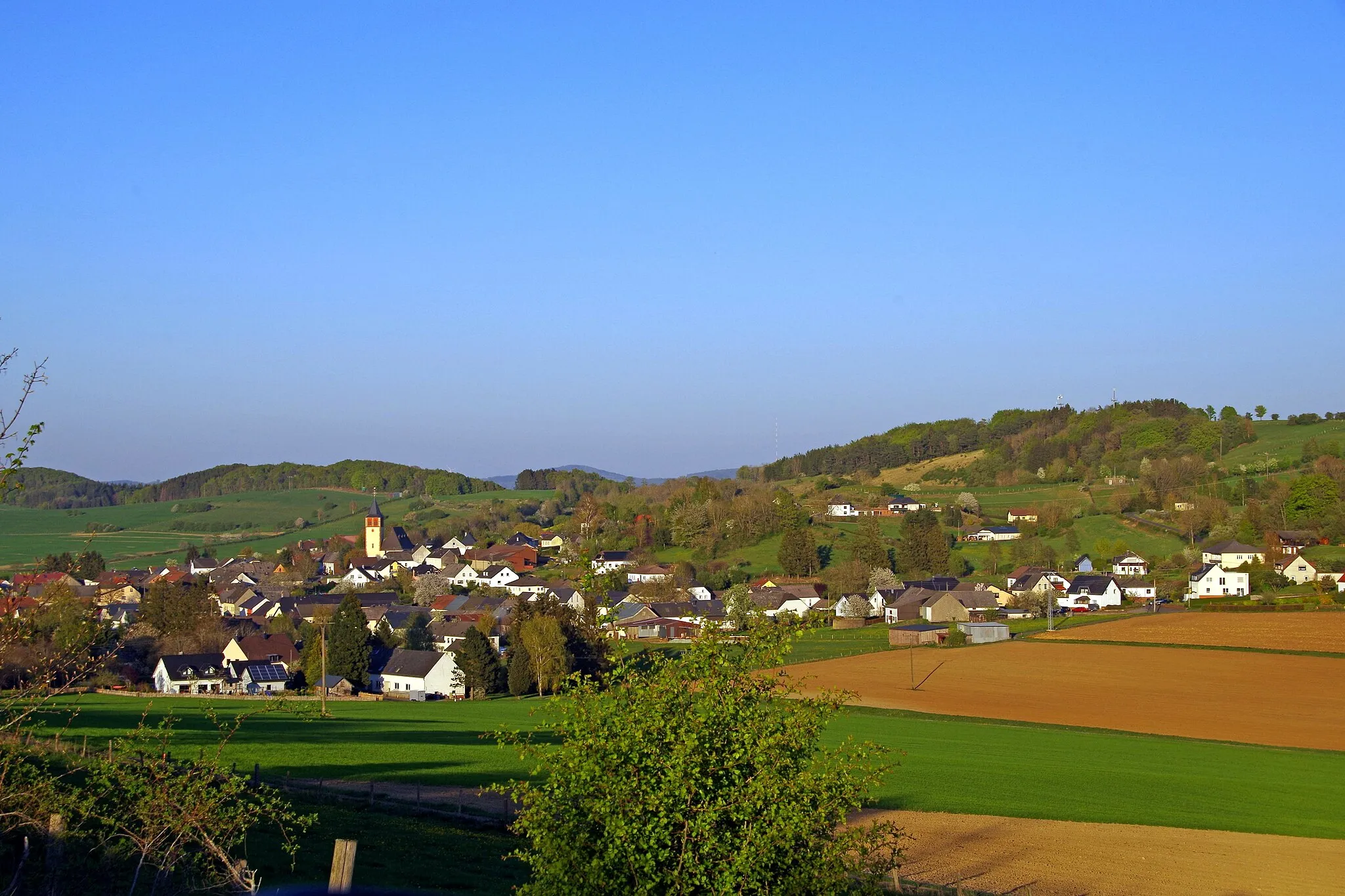 Photo showing: Büdesheim von Südwesten