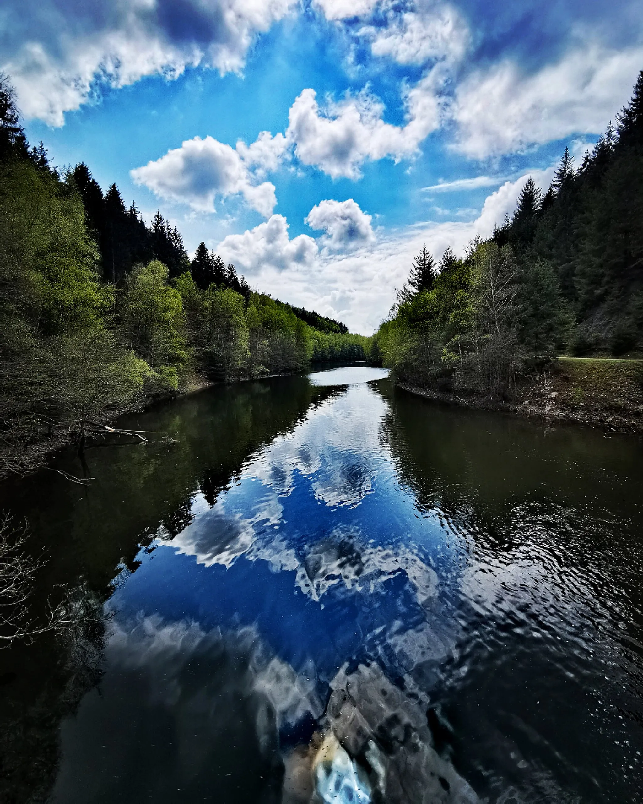 Photo showing: Seitenarm der Talsperre Nonnweiler inmitten des Waldes. Im Wasser spiegeln sich die Wolken.