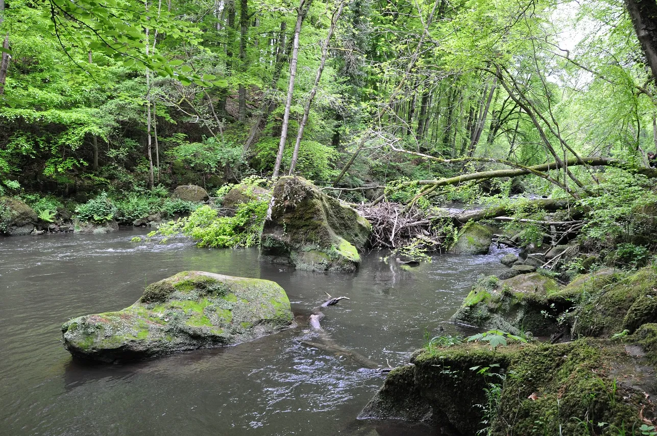 Photo showing: The river Prüm between Prümzurlay and Irrel, Rhineland-Palatinate, Germany.JPG