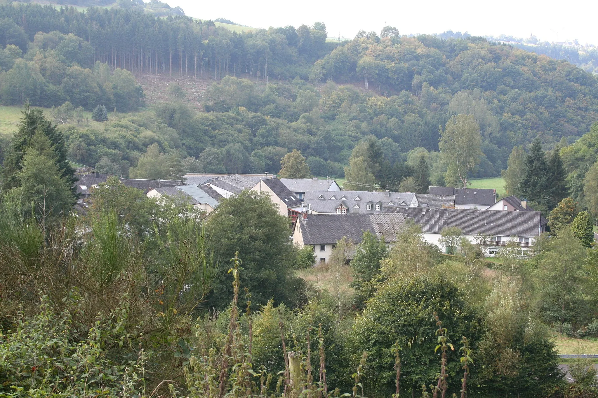 Photo showing: Gräfendhron, Germany