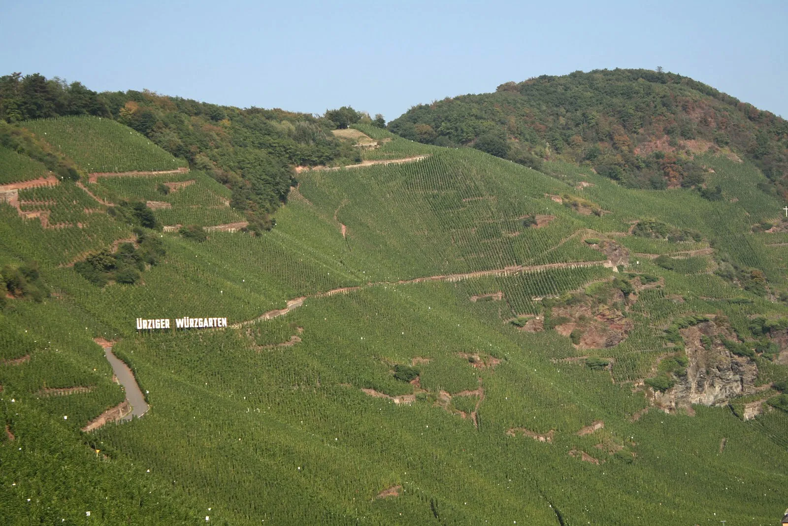 Photo showing: Ürziger Würzgarten vineyard, near Bernkastel-Kues, Germany