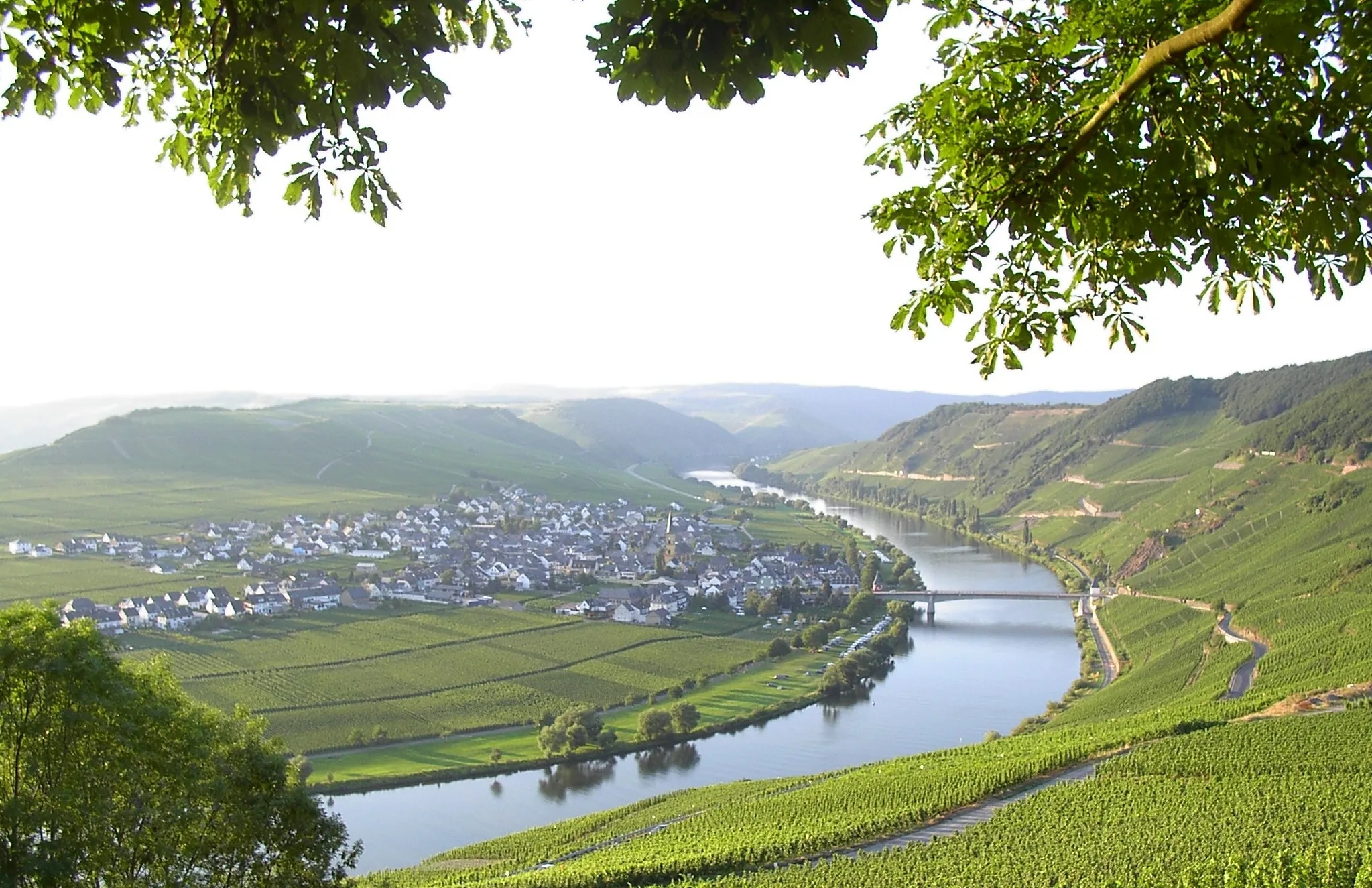 Photo showing: Moselschleife bei Trittenheim (selbst fotografiert)