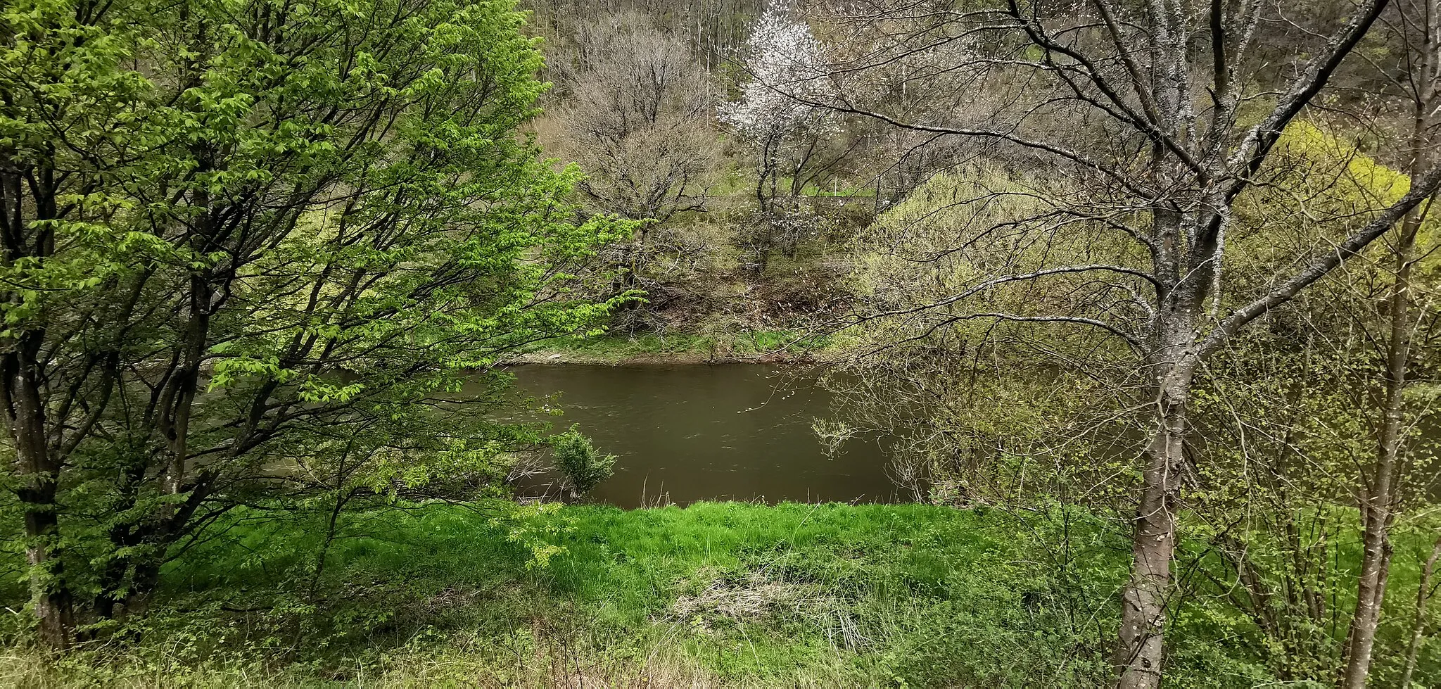 Photo showing: LSG Obere Nahe bei Frauenberg