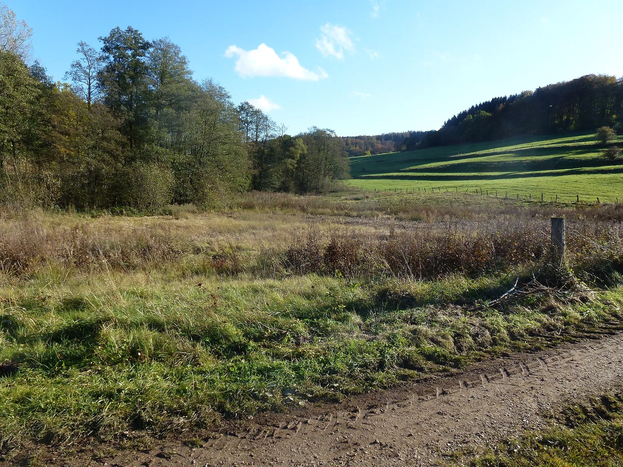 Photo showing: Duppacher Maar