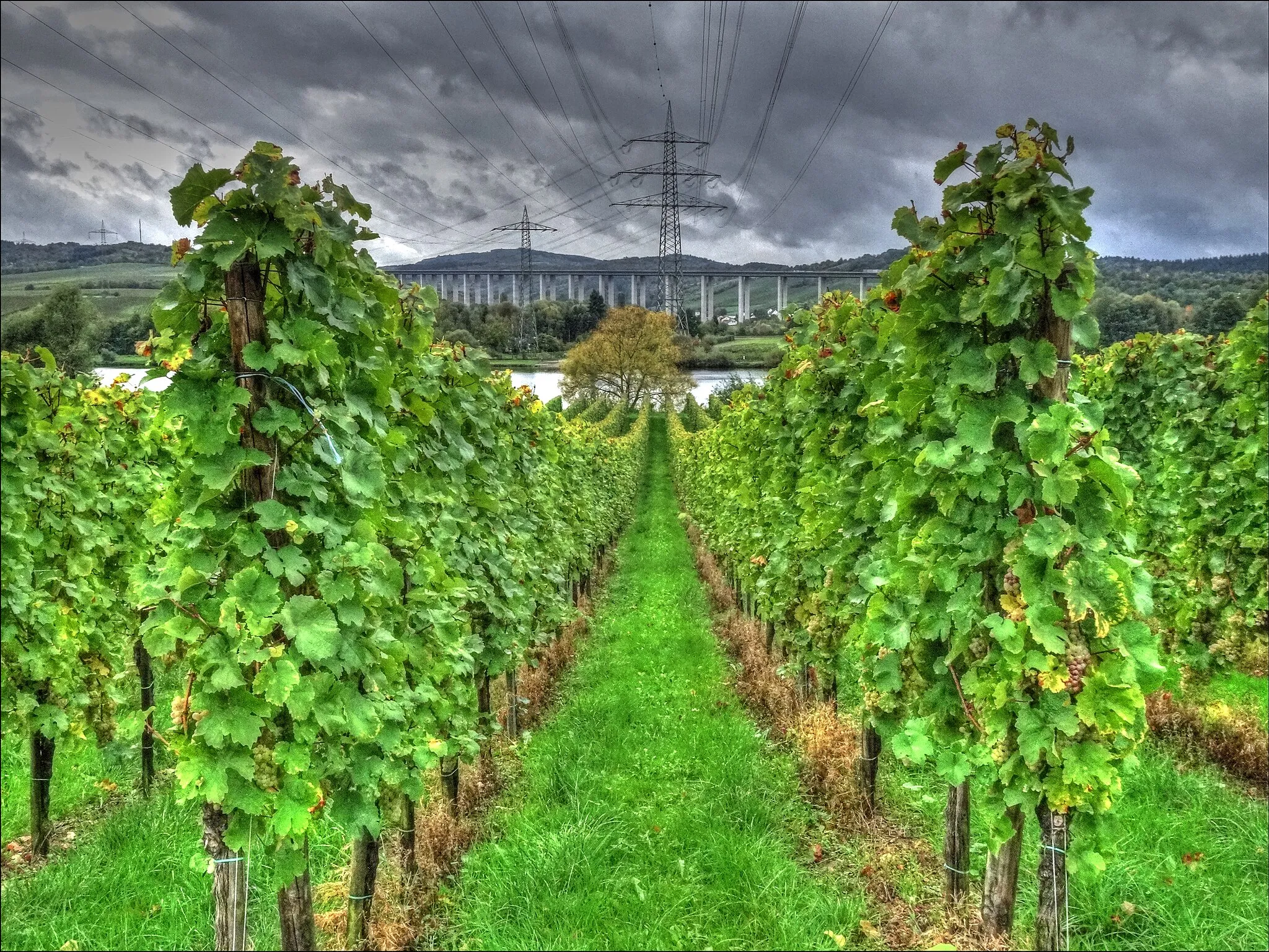 Photo showing: Longen an der Mosel