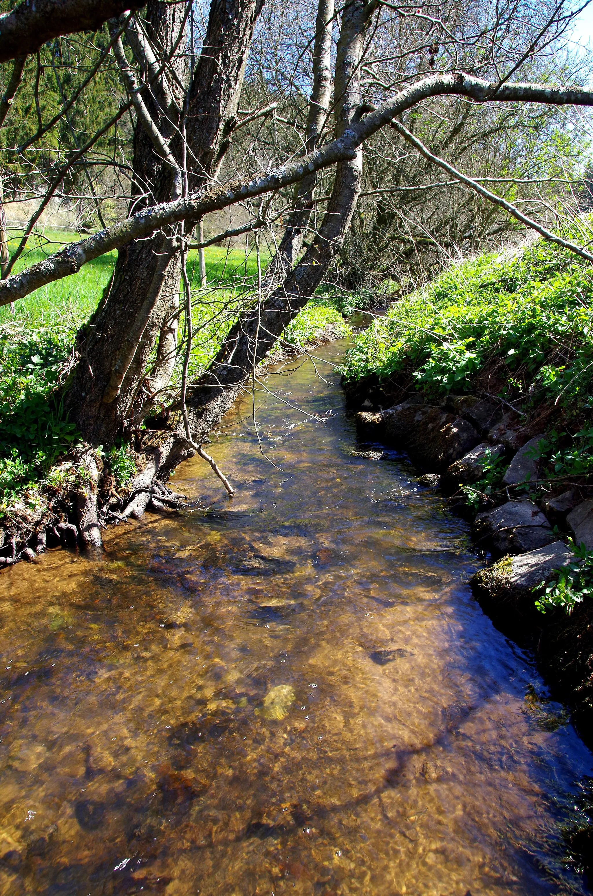 Photo showing: Nonnenbach (Ahr) nach Osten zur Ahr fließend