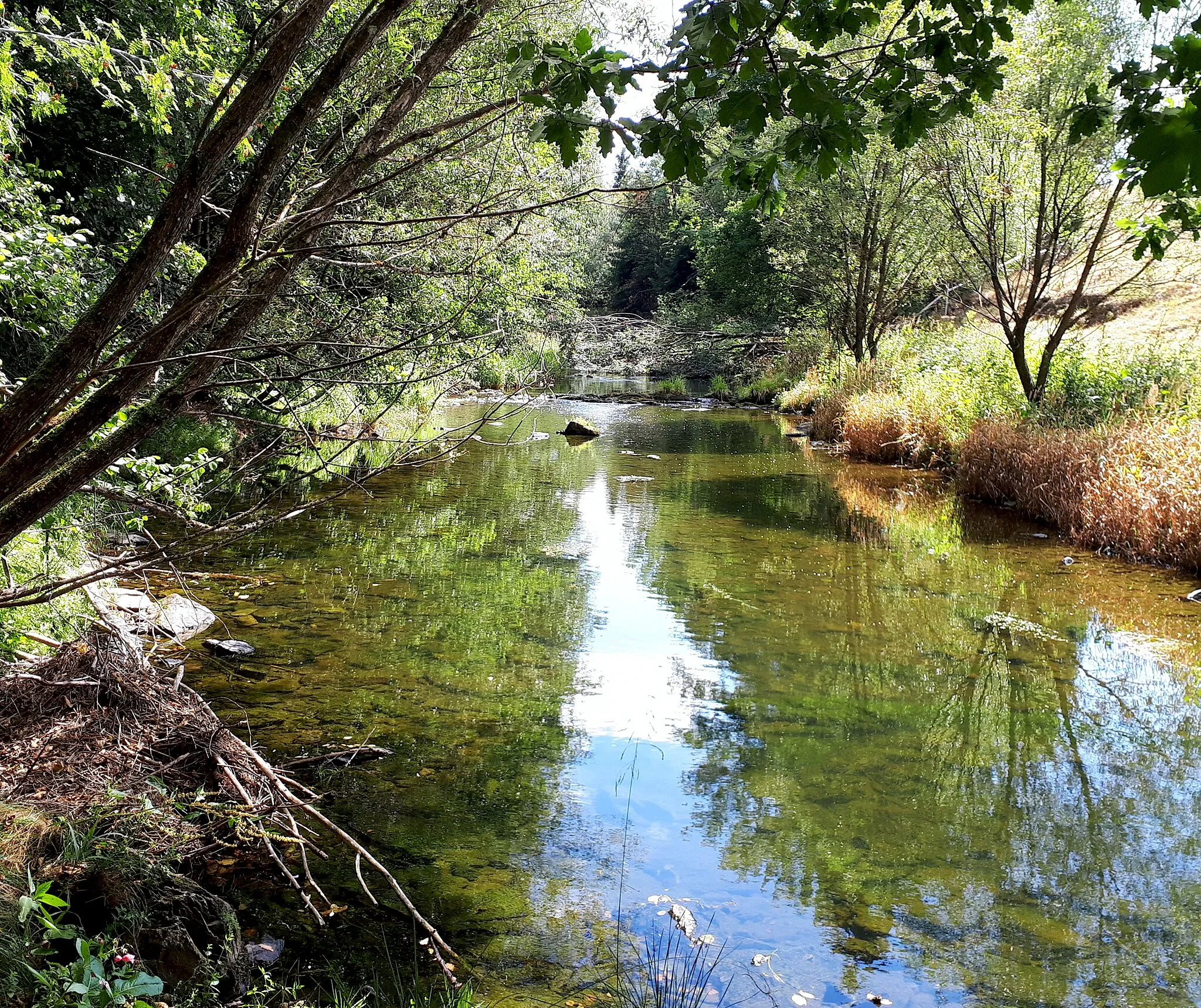 Photo showing: Warche bei Outrewarche