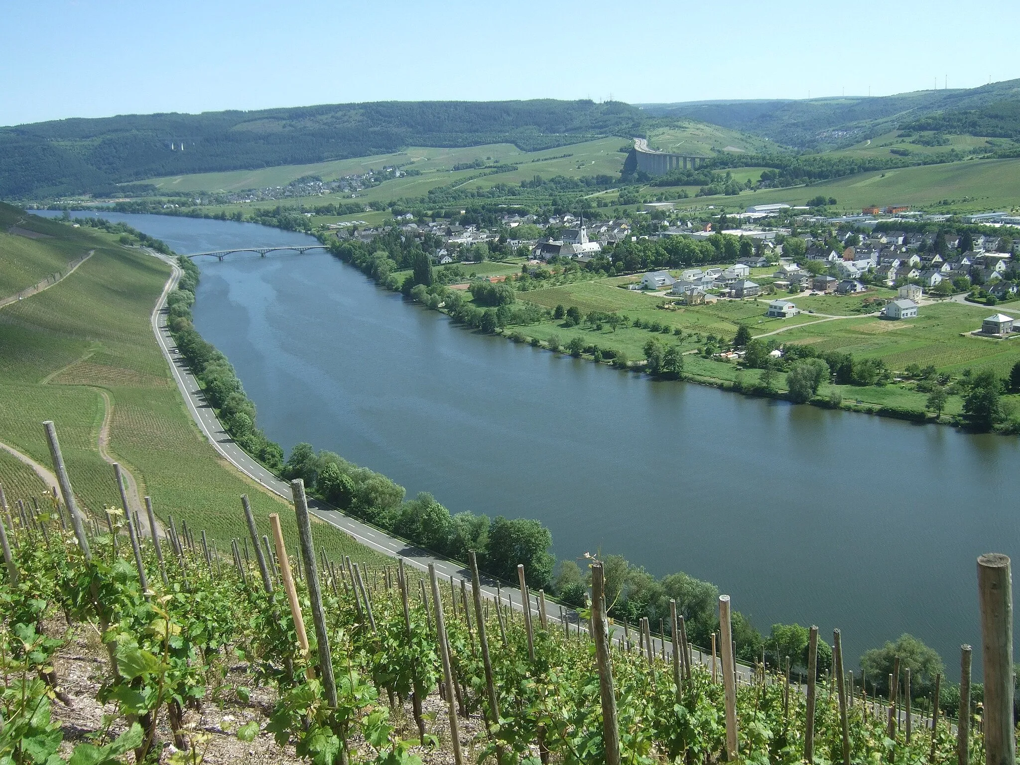 Photo showing: Mosel bei Longuich