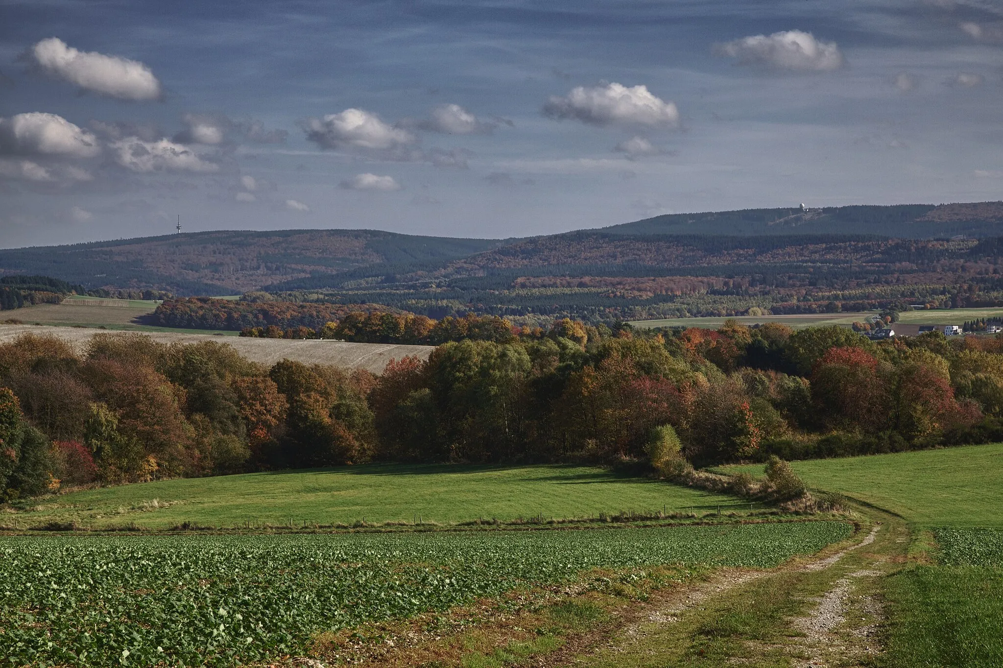 Photo showing: Kahlheid (links) mit Fernmeldeturm und Erbeskopf (rechts) mit Radom aus Nordwesten oberhalb Thalfang