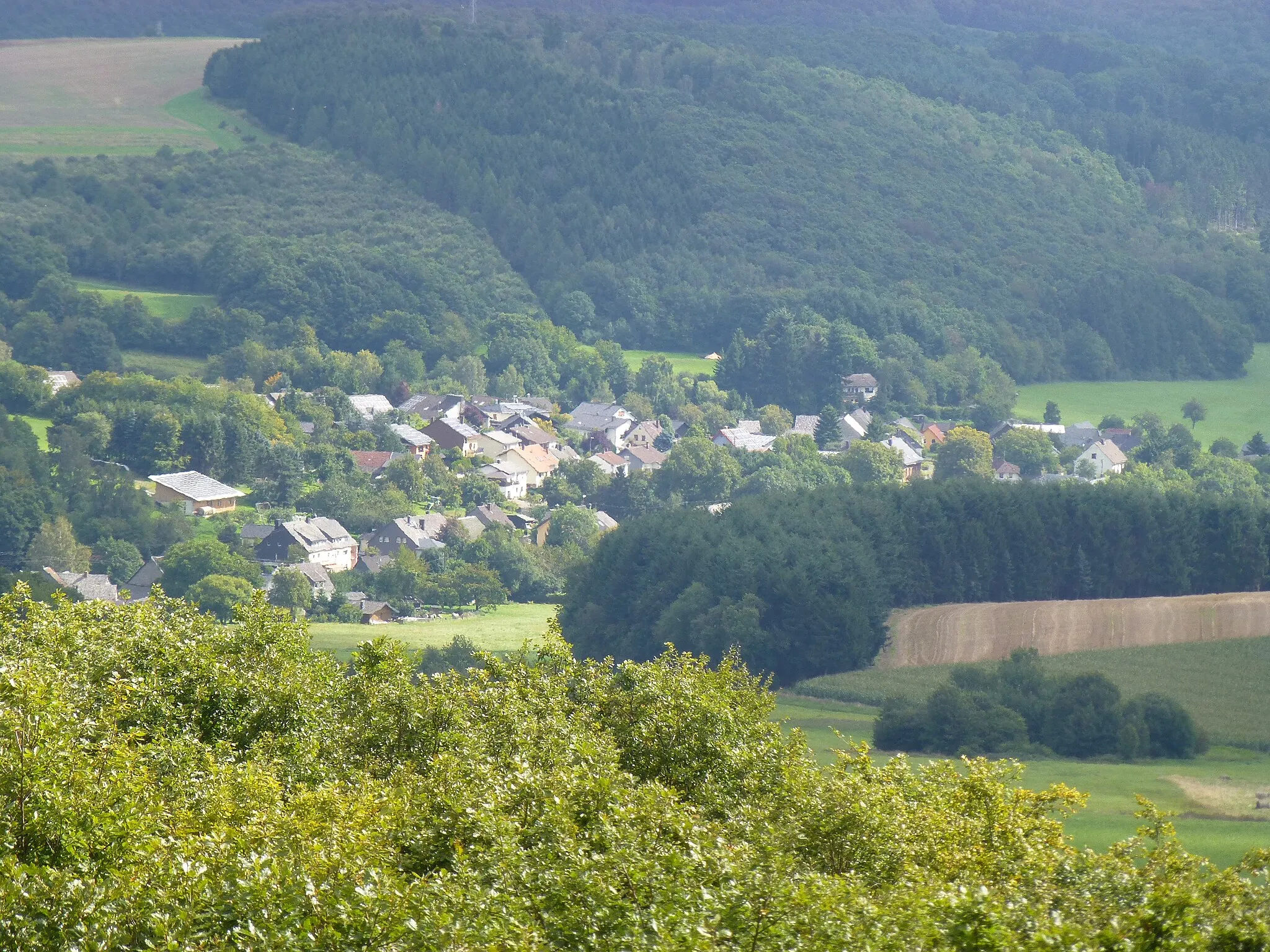 Photo showing: Schwollen  -  vom Aussichtsturm Hattgenstein aus gesehen