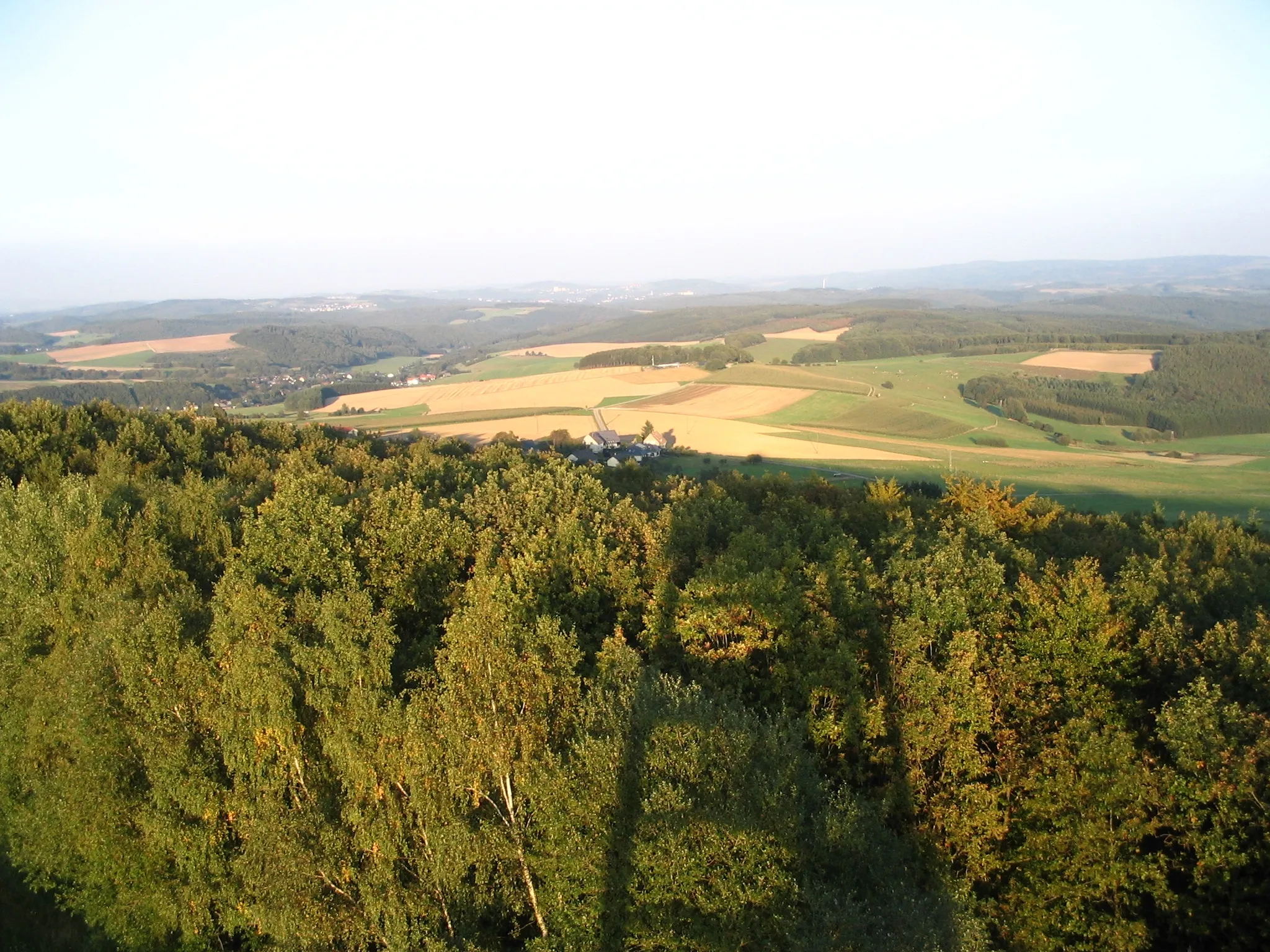 Photo showing: View from Hattgenstein tower in the south direction