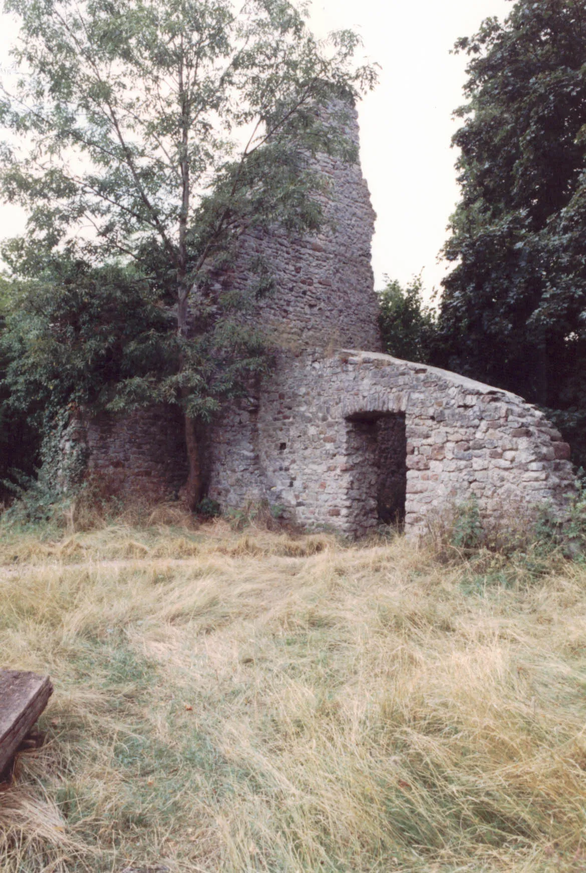Photo showing: Burg Gerolstein in der Vulkaneifel, Ruine des Bergfrieds