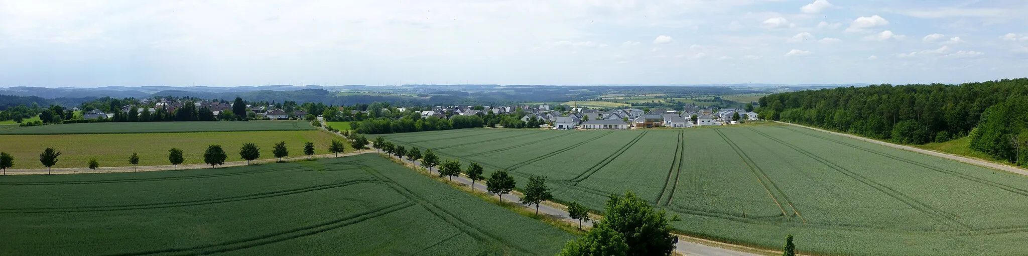 Photo showing: Panoramafoto vom Aussichtsturm Zemmer mit Blich nach Westen in Richtung Rodt