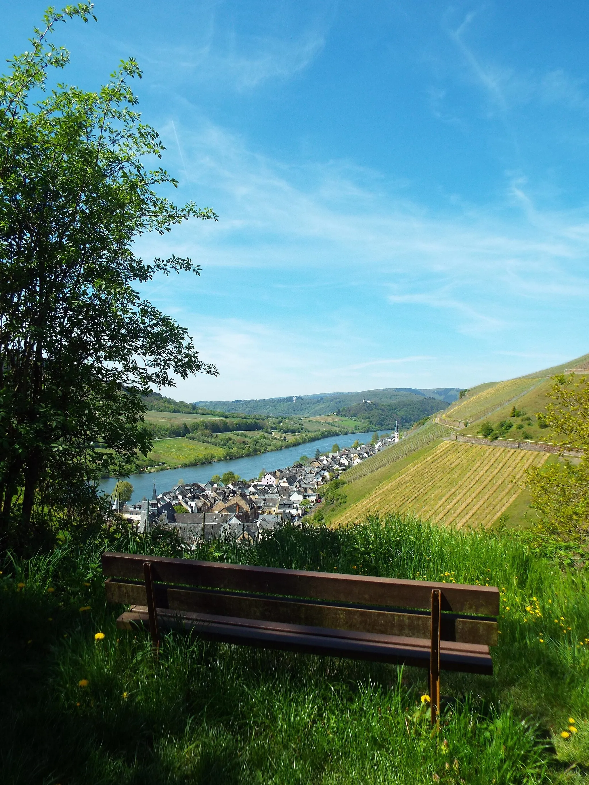 Photo showing: View of Merl (Zell) and the Mosell from the Moselsteig hiking route