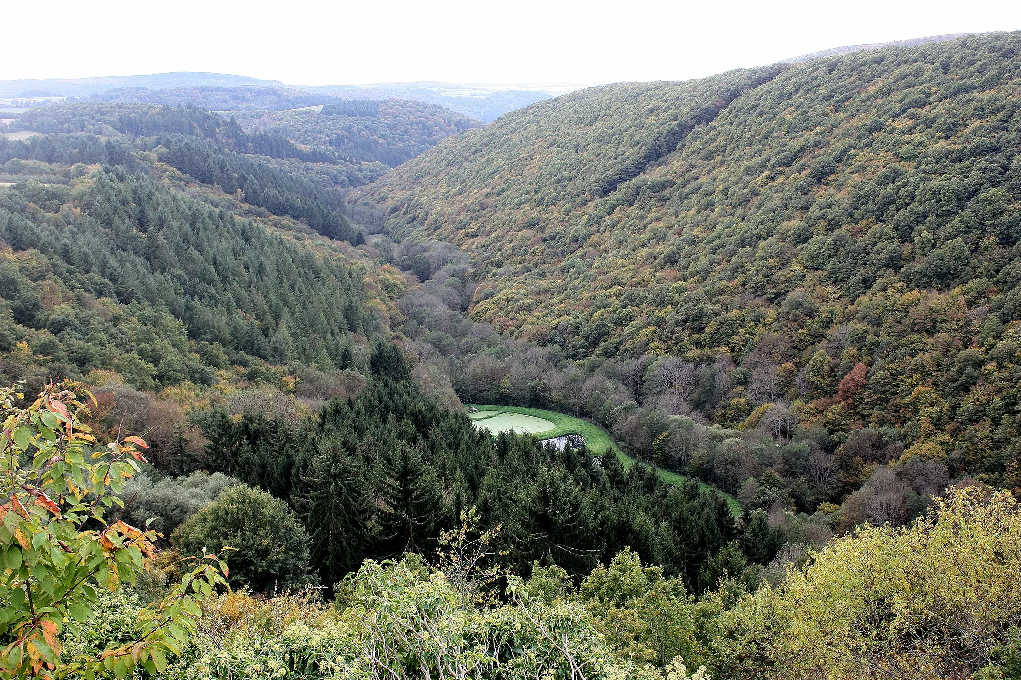 Photo showing: Hunolstein (Morbach), view from the castle to the valley of the Dhron river