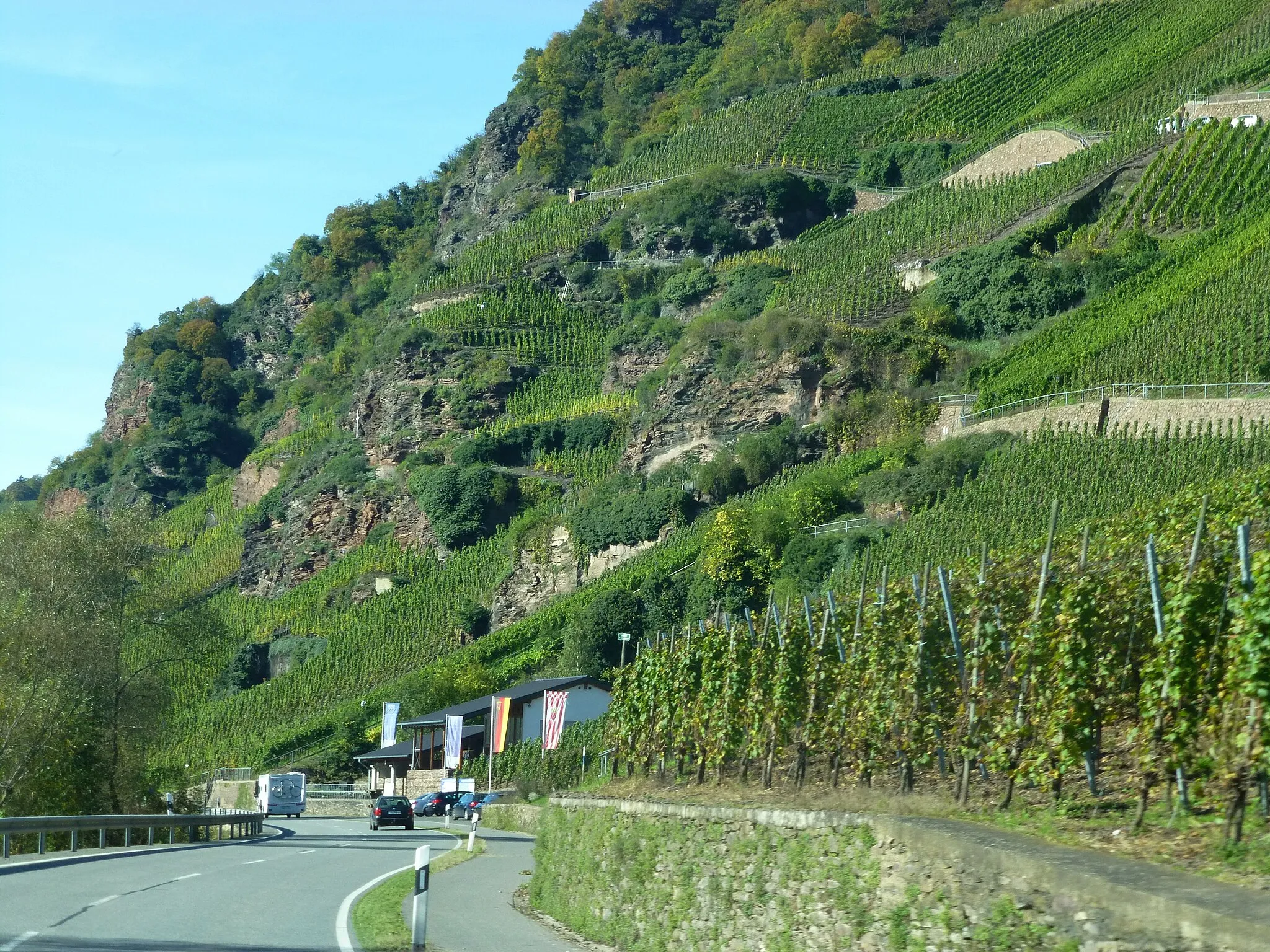 Photo showing: Ürzig – Kletterweg in steilen Weinbergslagen